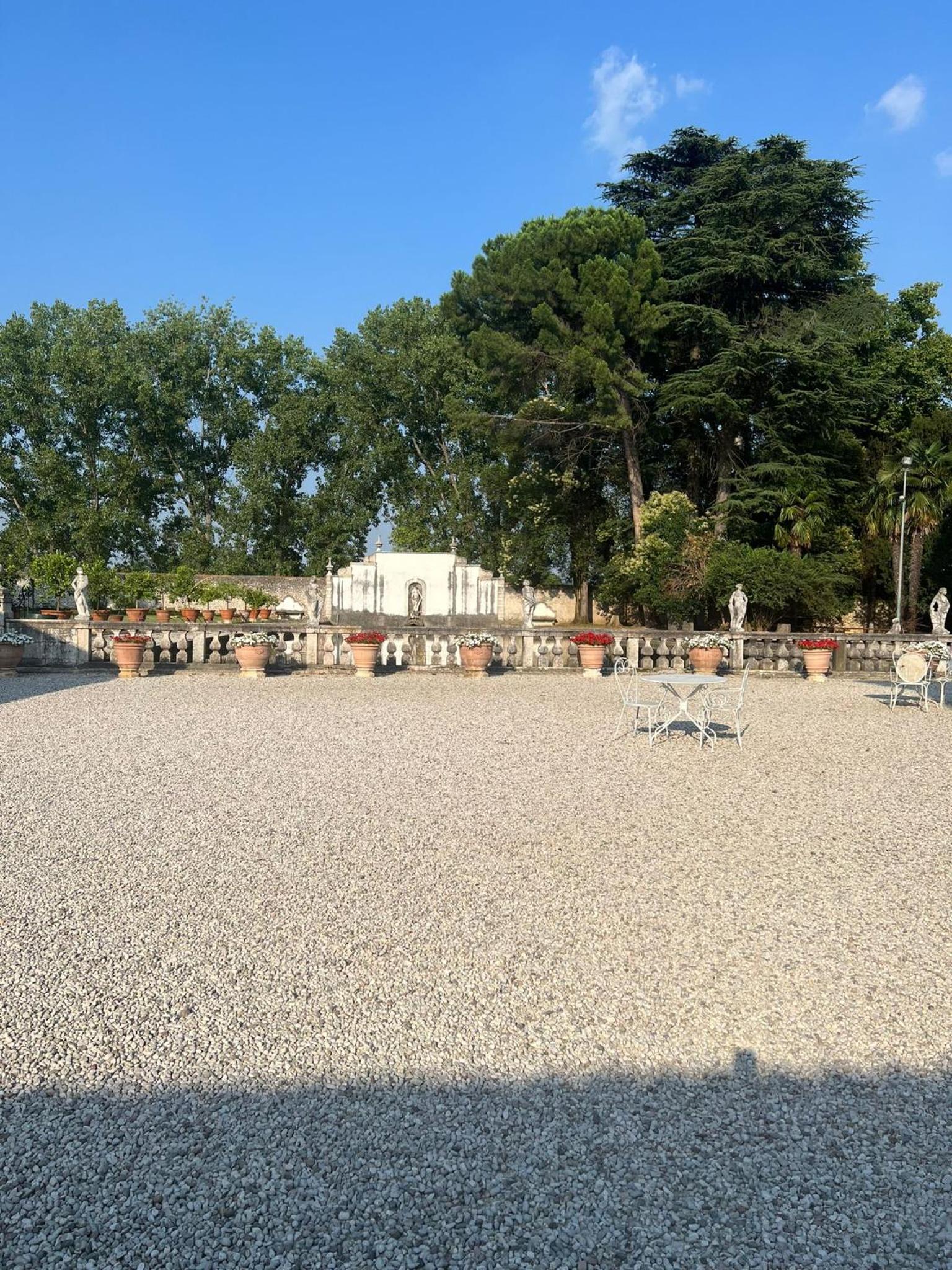 Photo 100