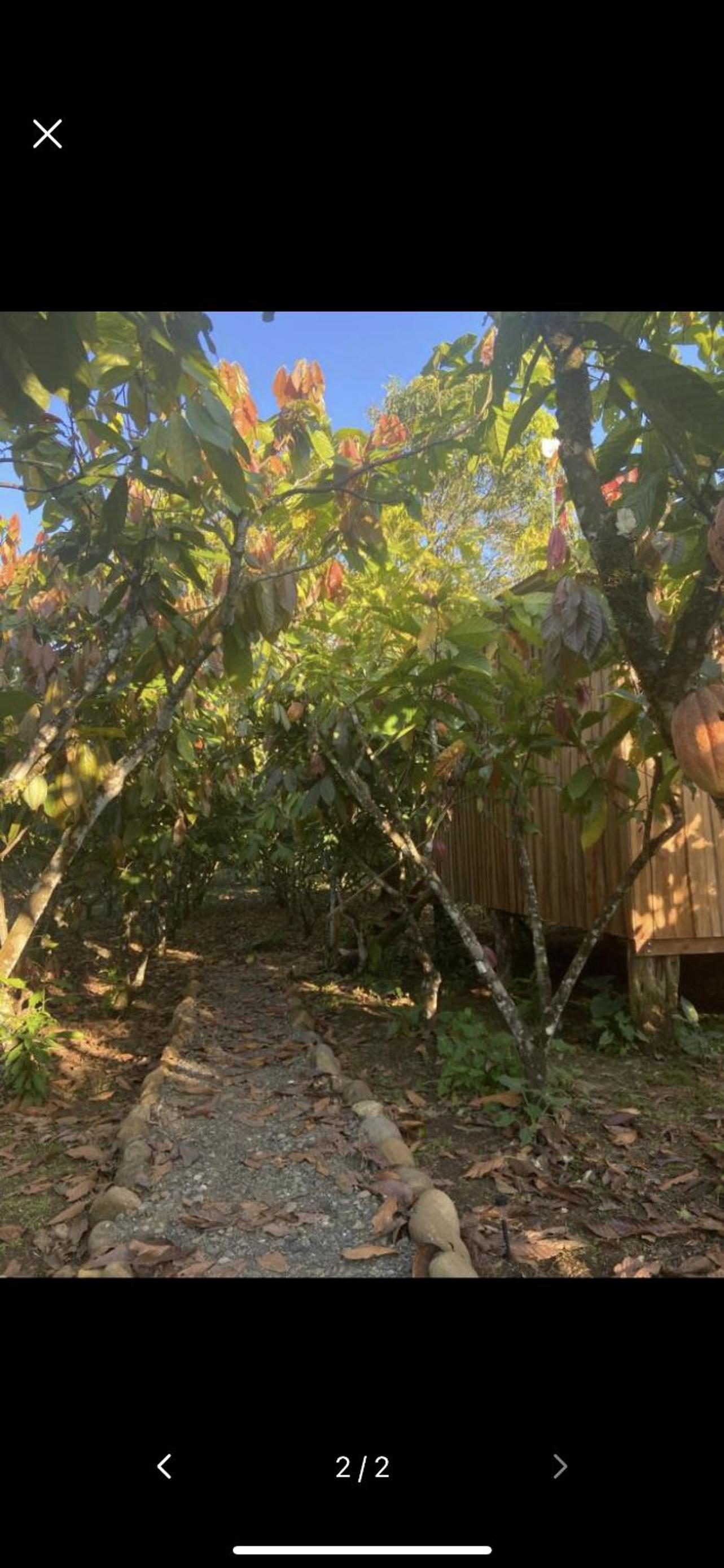Río Celeste, Cacahua Lodge