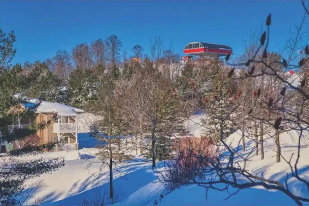 King Bed apartment, Pet Friendly, with a Hot Tub, Pool, and BBQ