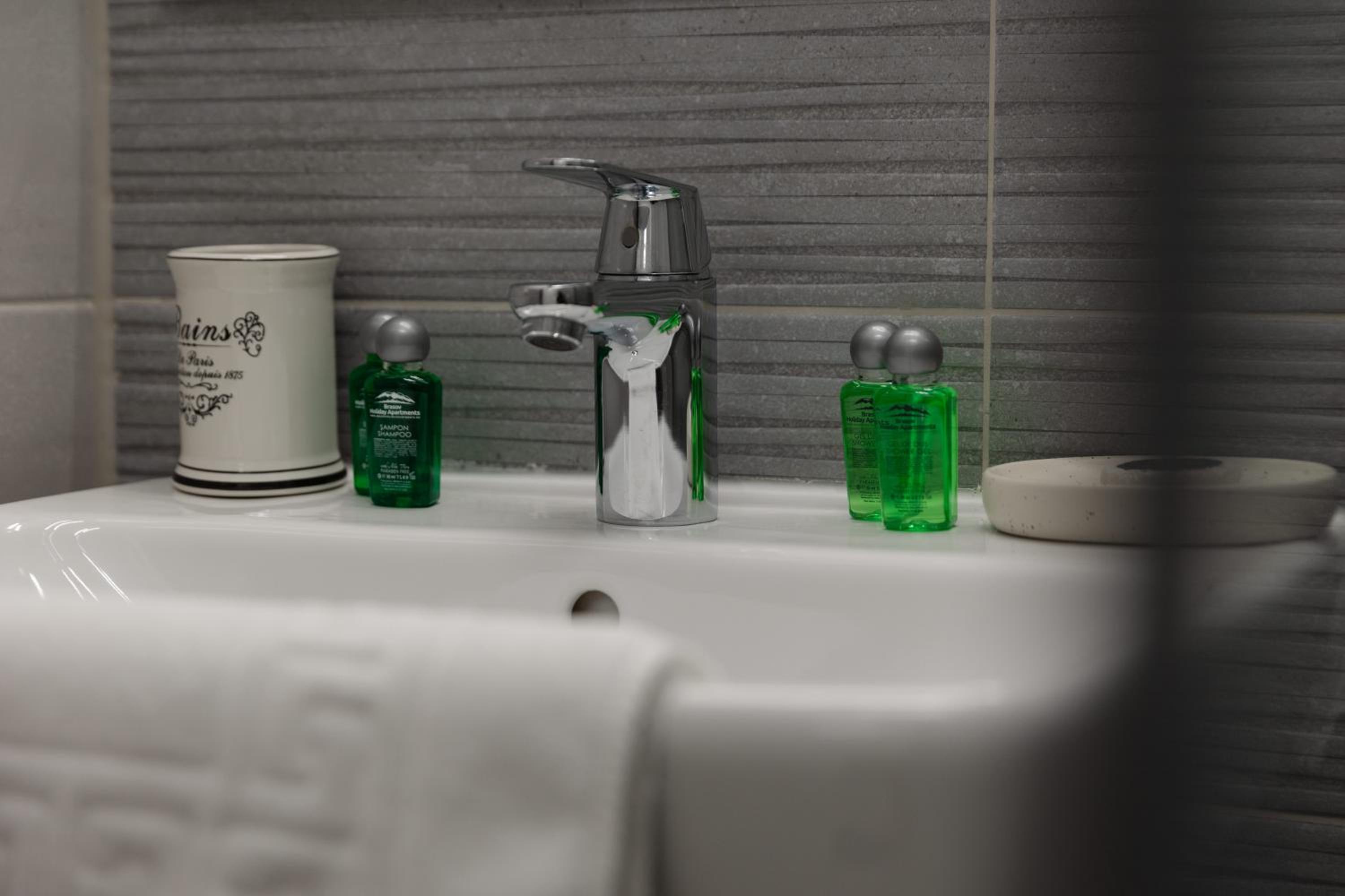 Brasov Holiday Apartments