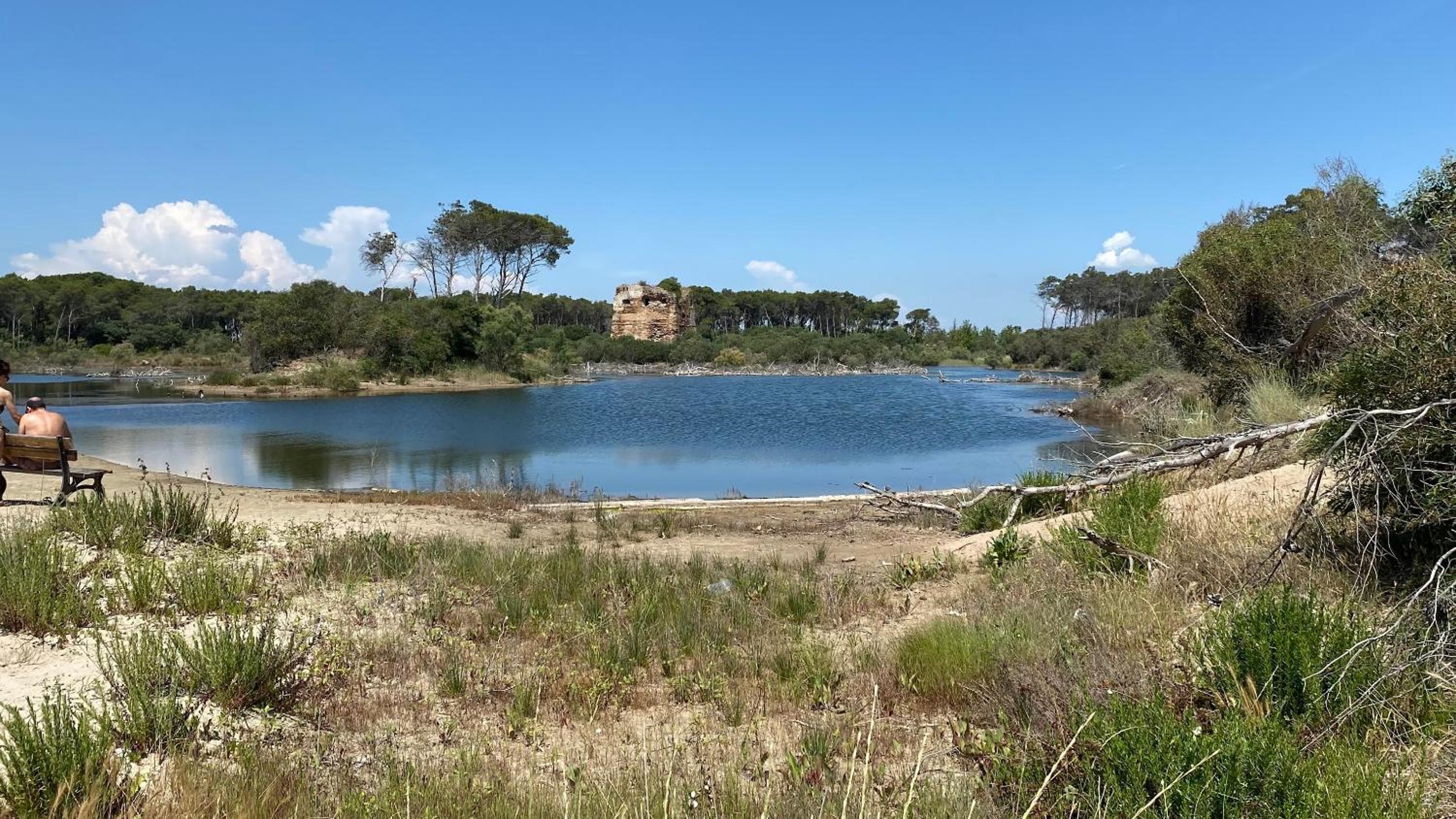 Agriturismo La Stornara, Petfriendly & EV Friendly