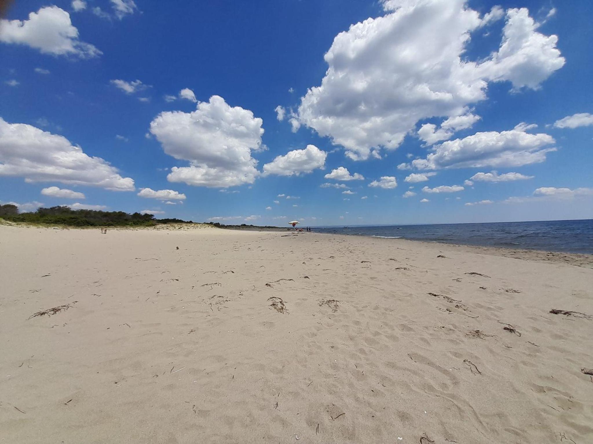 Agriturismo La Stornara, Petfriendly & EV Friendly