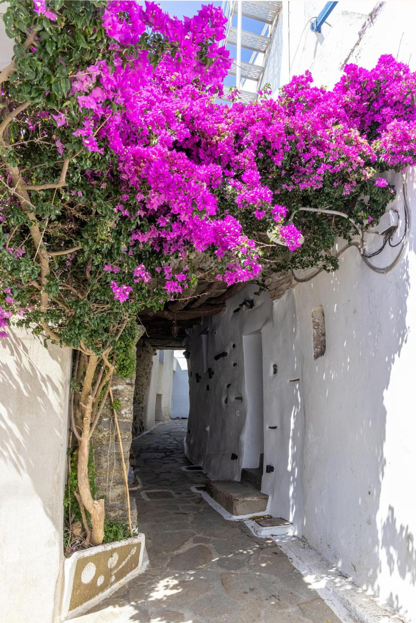 Adamma Tinos