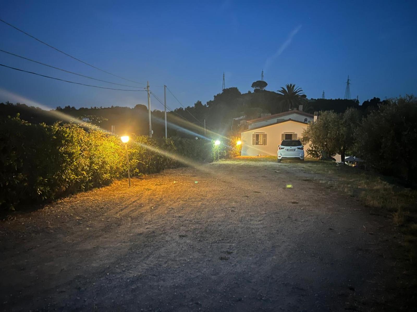 Photo 19