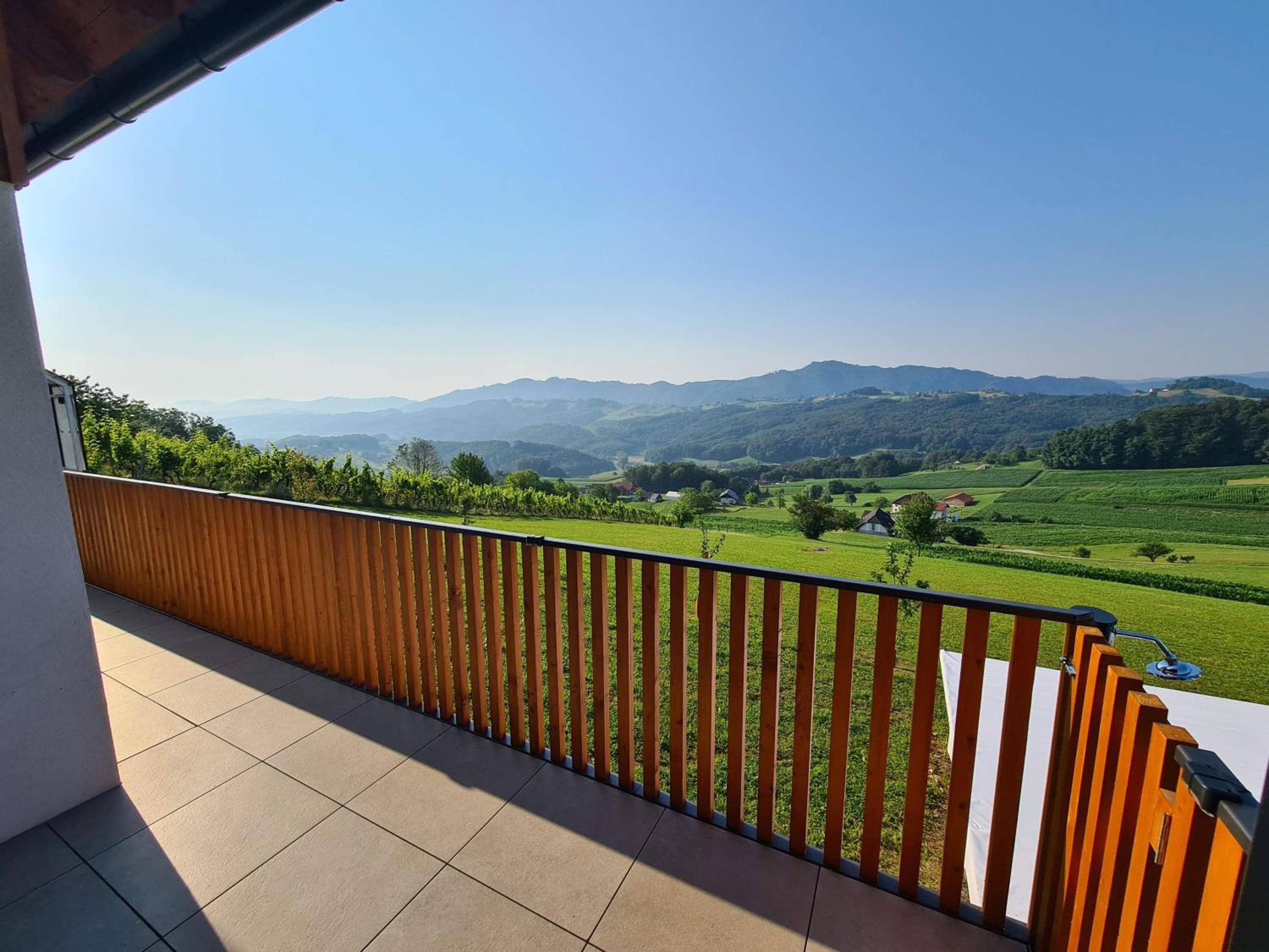 Villa Strtenica in the vineyard view 4
