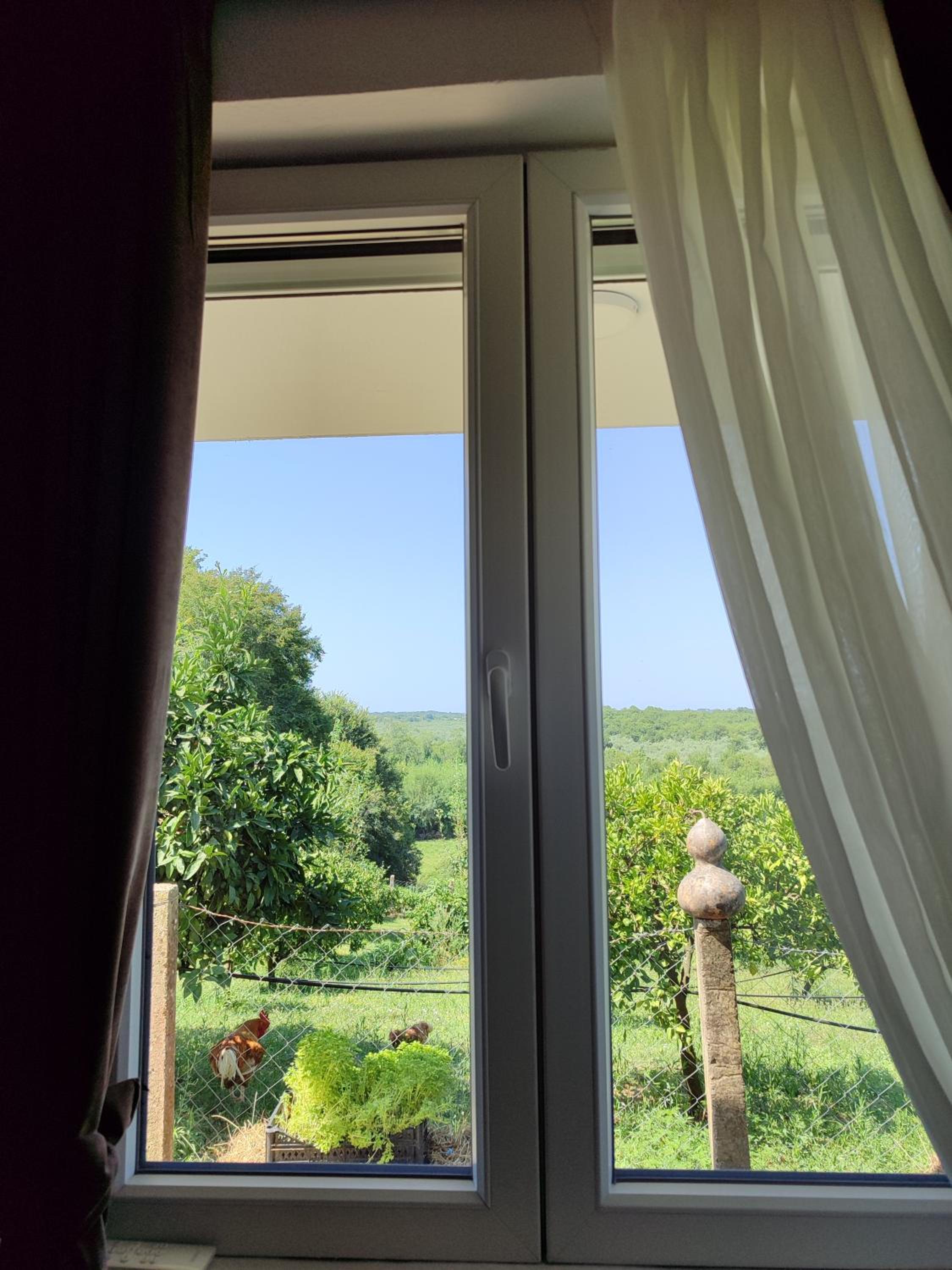 Bukuria e Fjerinës view 3