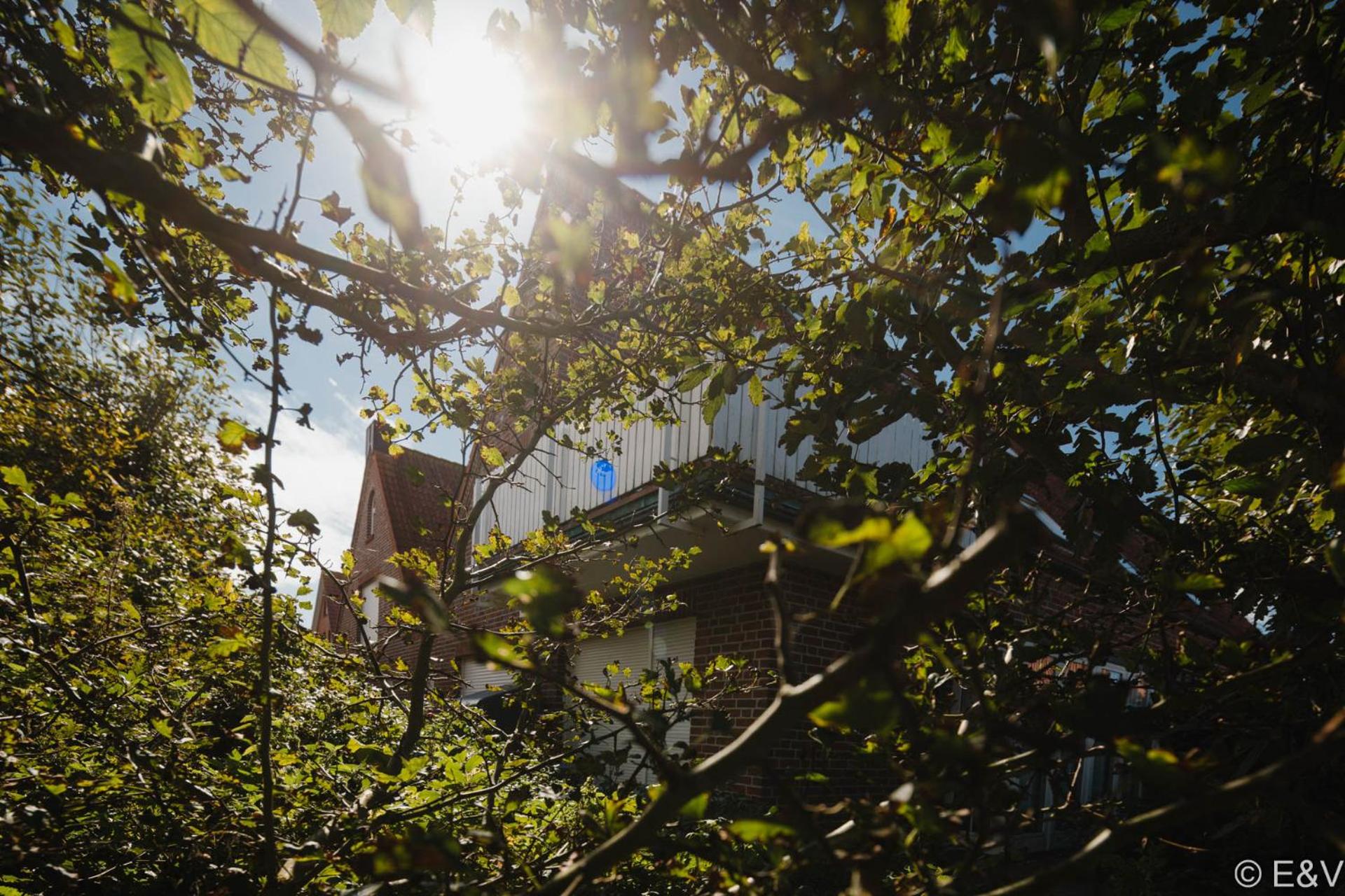 Haus vorm Riff - Austernfischer