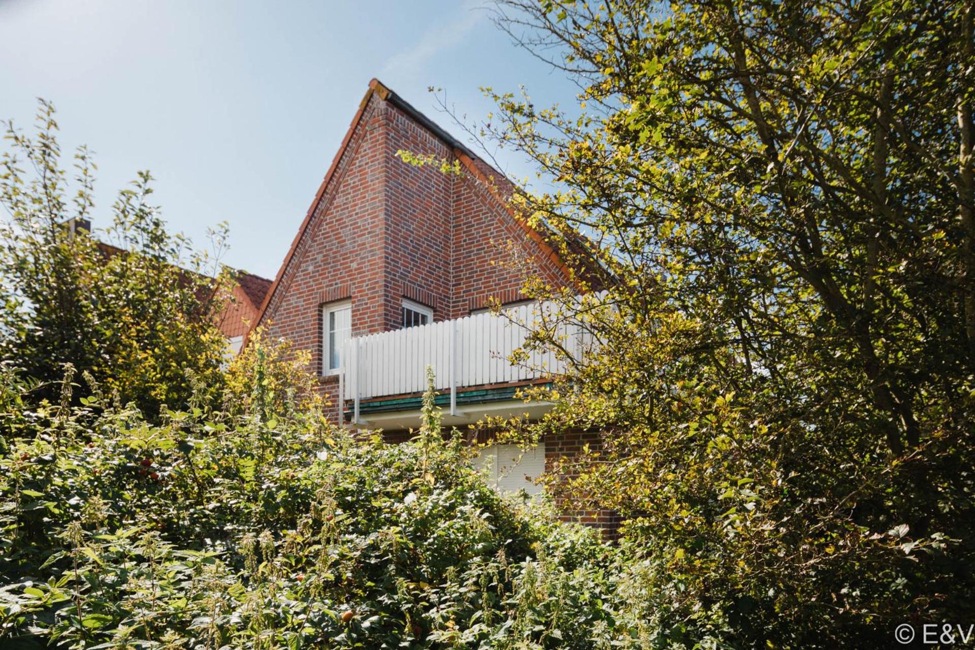 Haus vorm Riff - Austernfischer