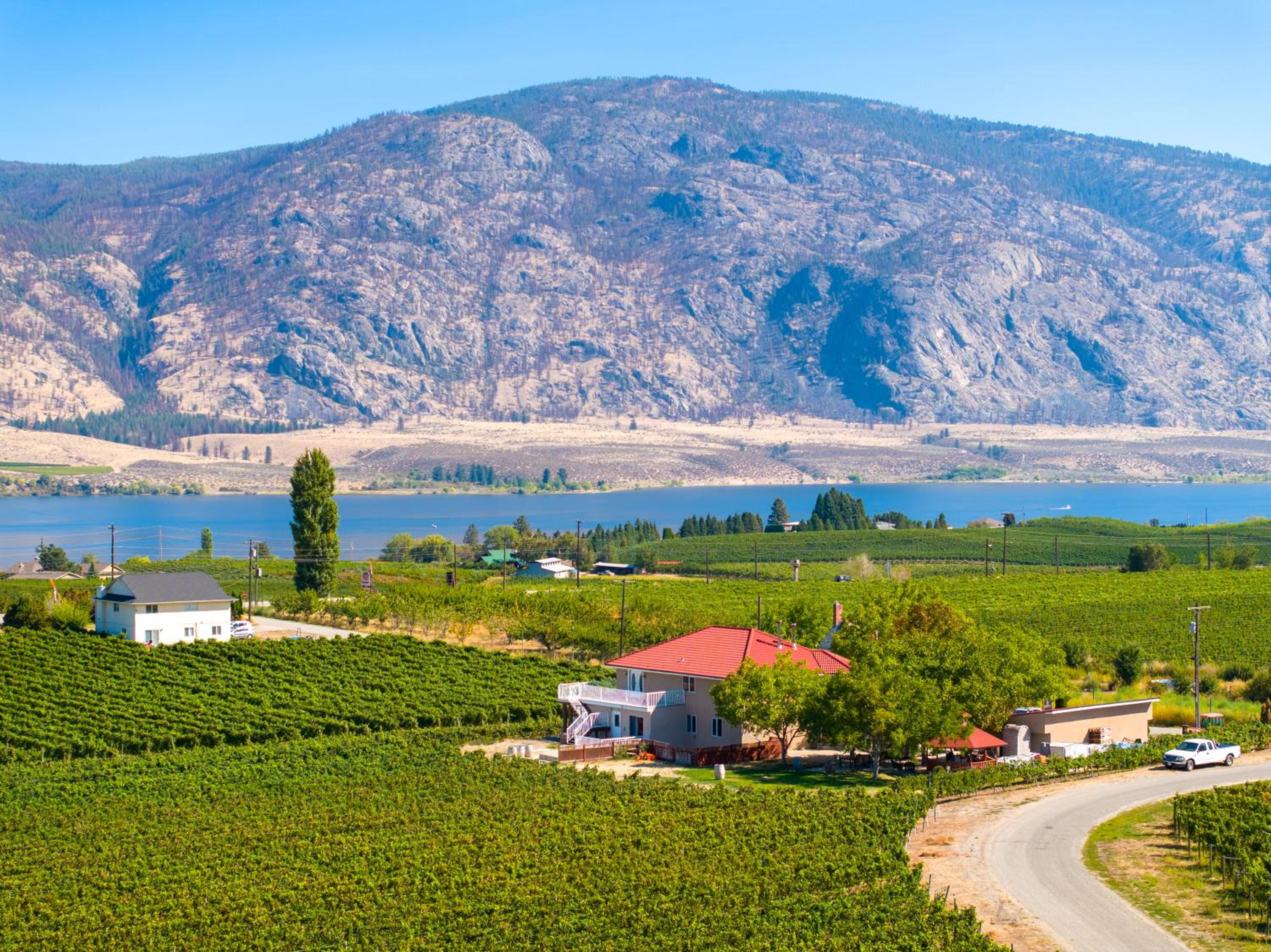 Hotel Sonora Desert Inn - Image 1