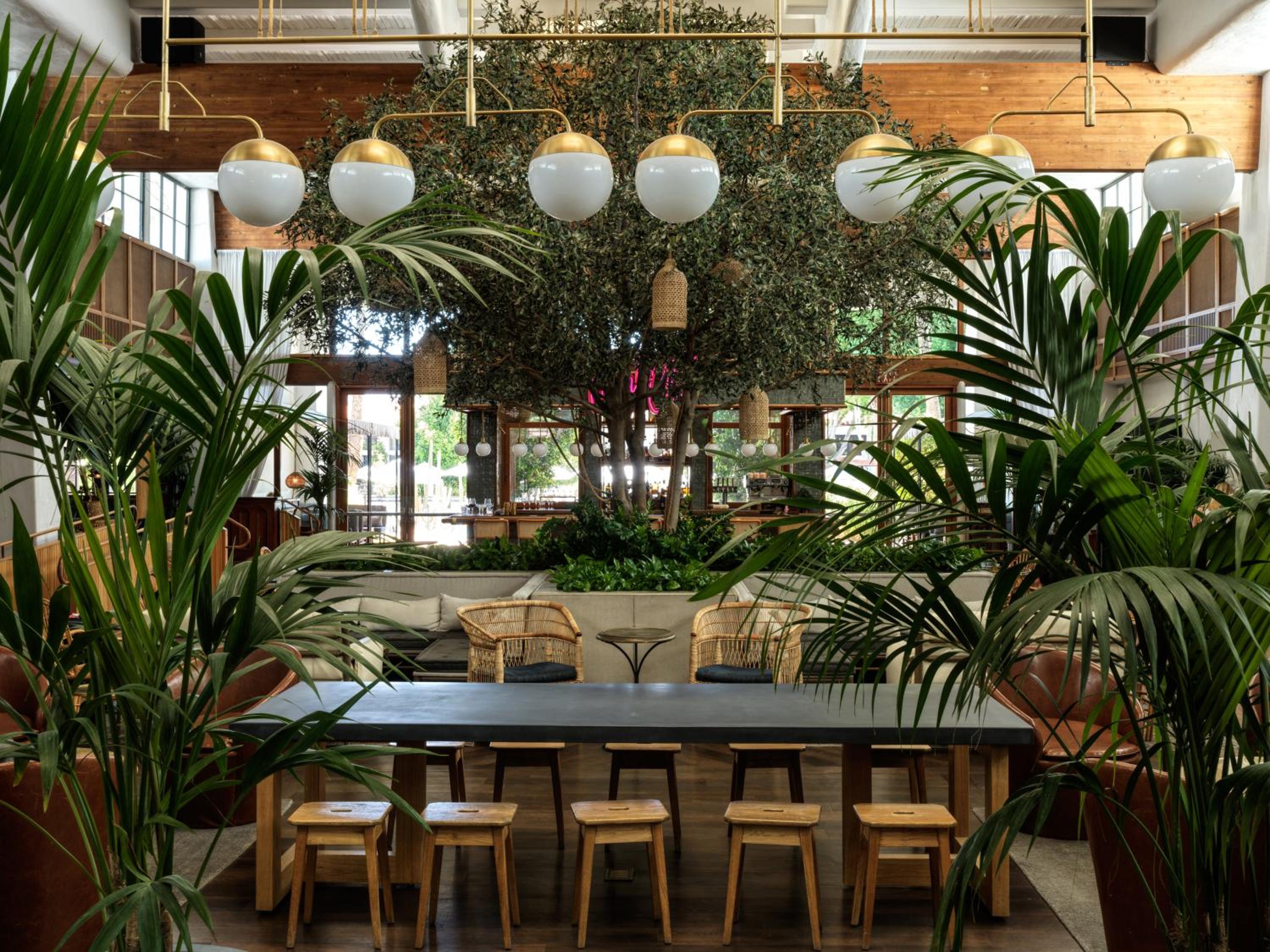 The Scott Resort & Spa, Photo 19