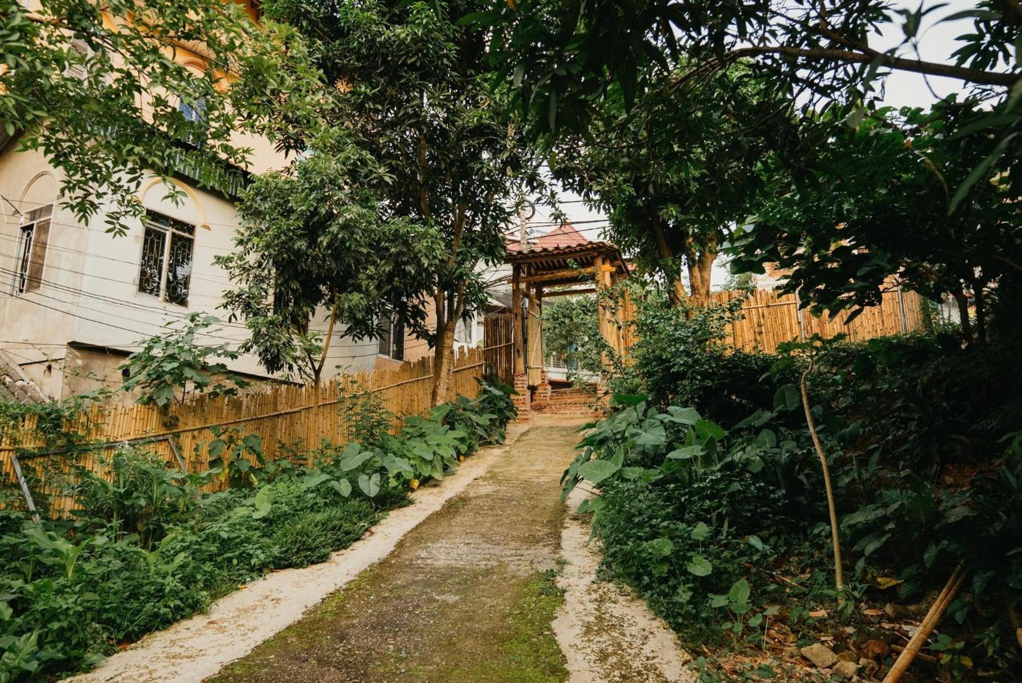 Photo 10