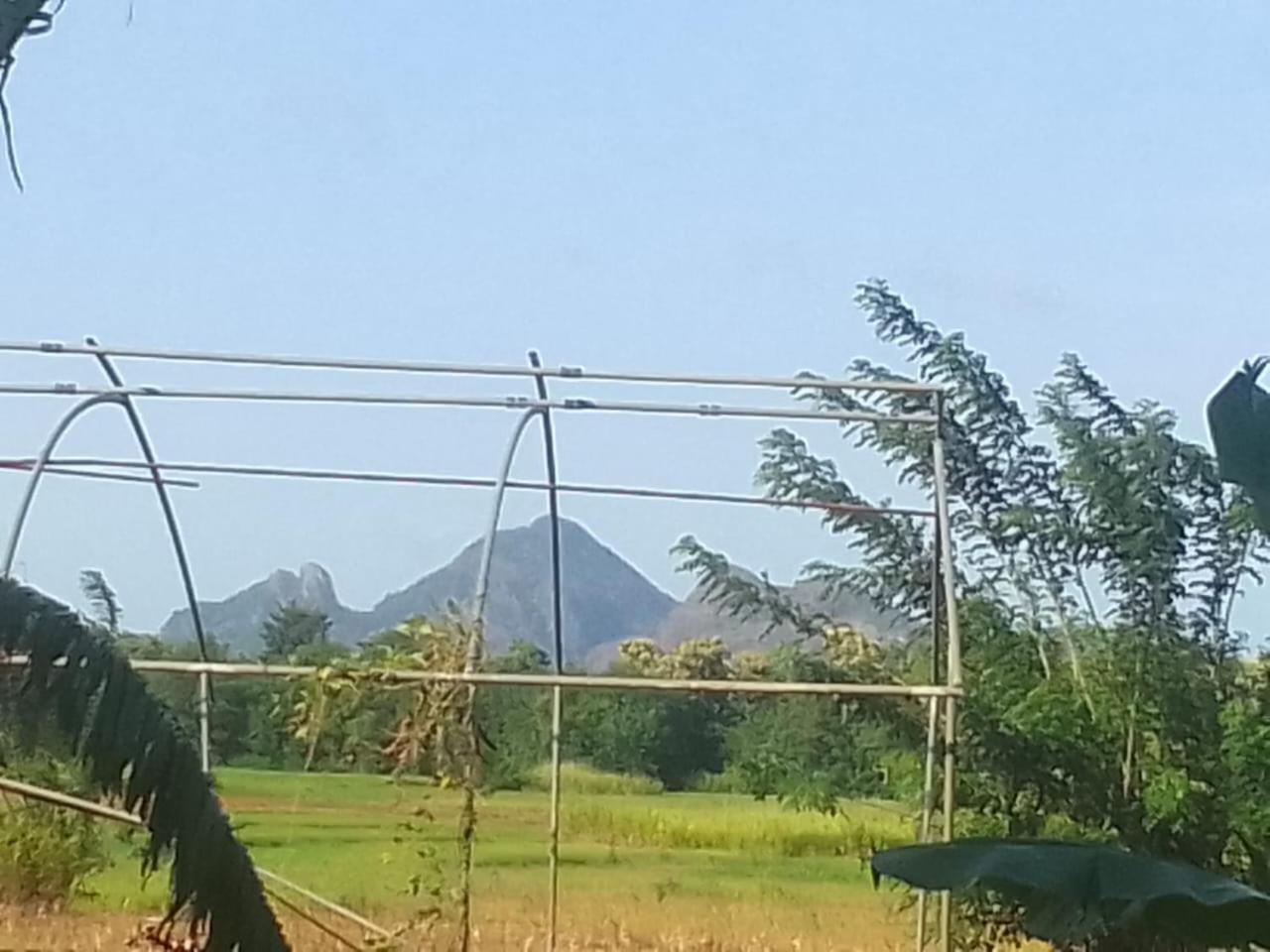 Winstar Homestay