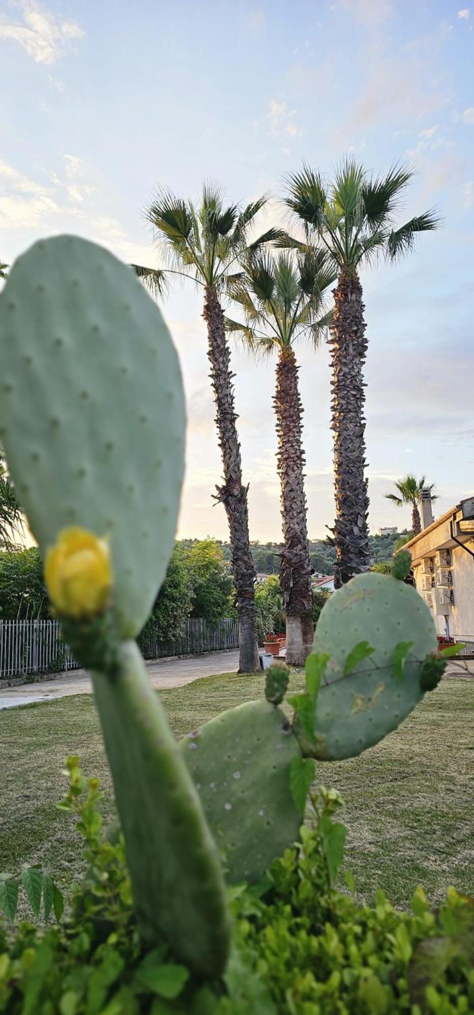 Villa Daniela Suites photo 4