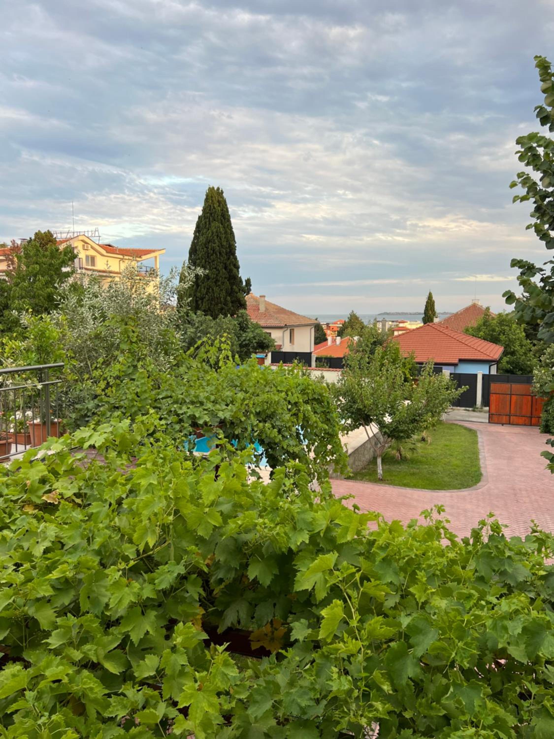 Villa Iva