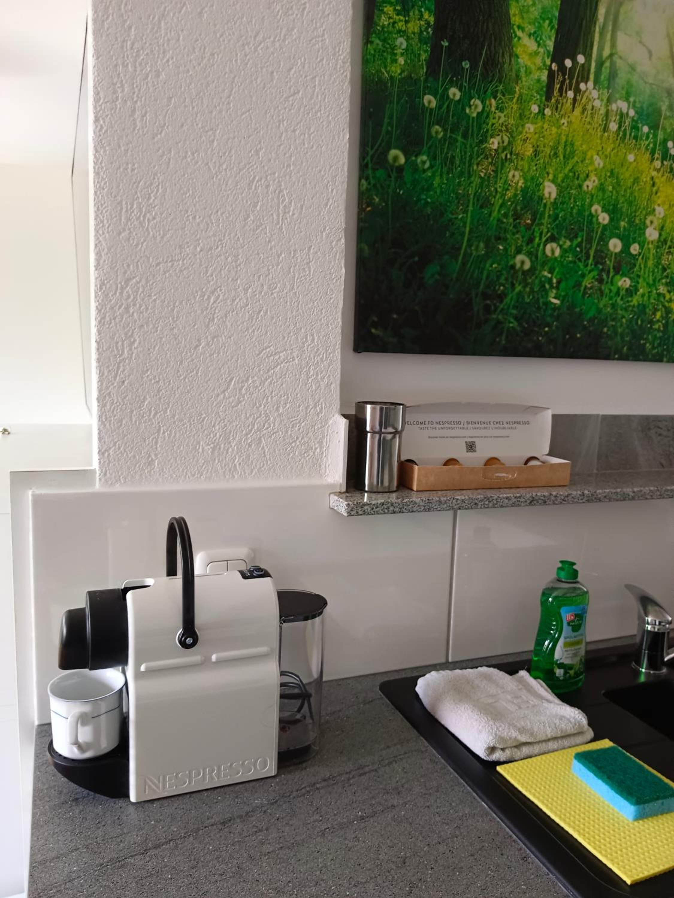 Suite-Traunsee