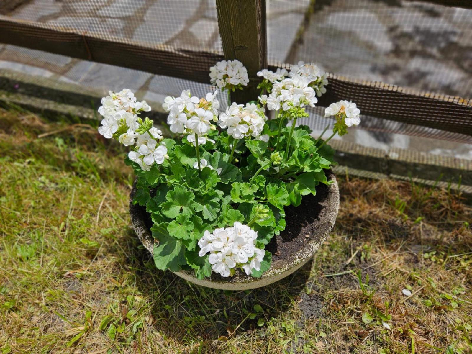 Accogliente Casa con Giardino