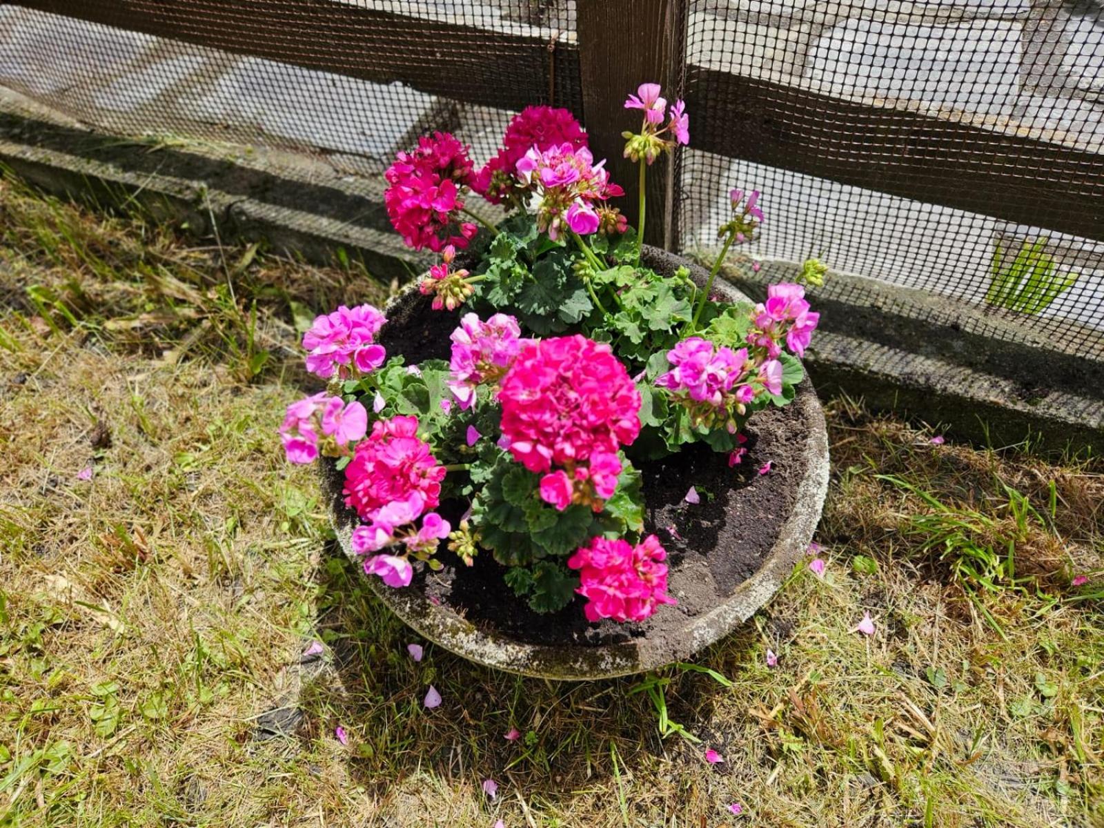 Accogliente Casa con Giardino