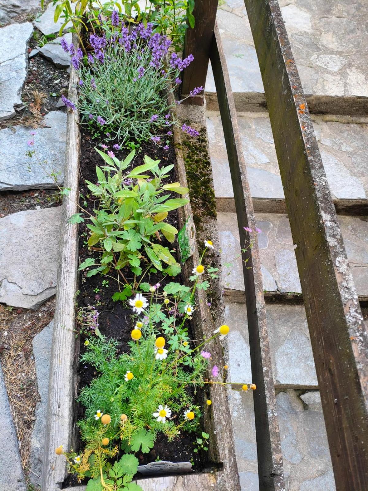 Accogliente Casa con Giardino