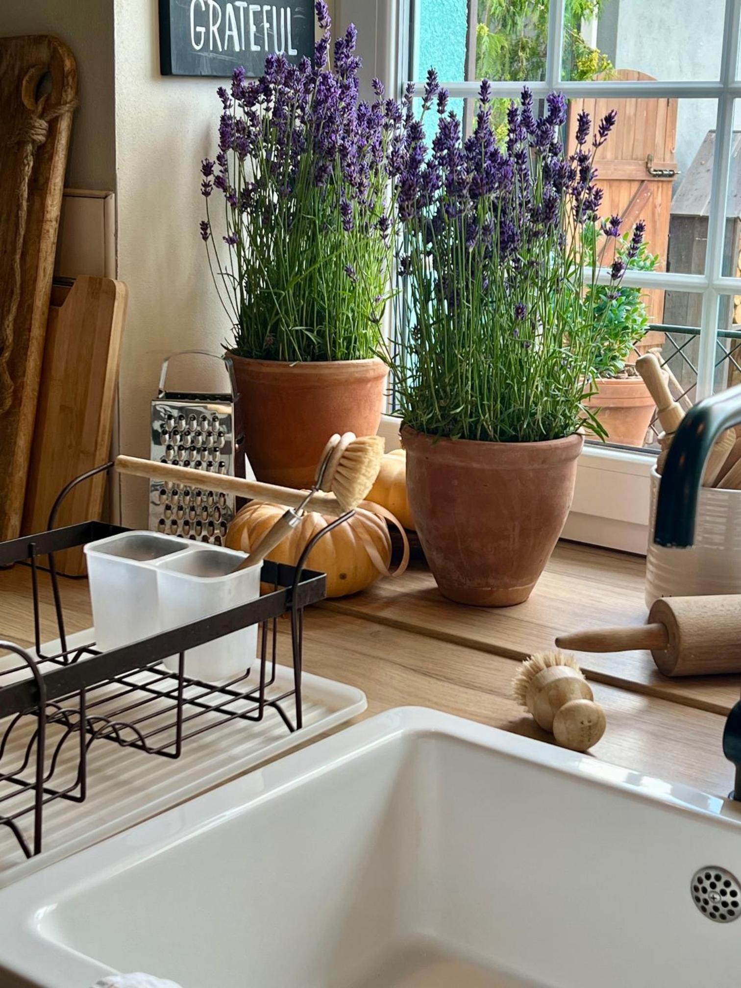 OrchardHouse Farmhouse, wellness view 2