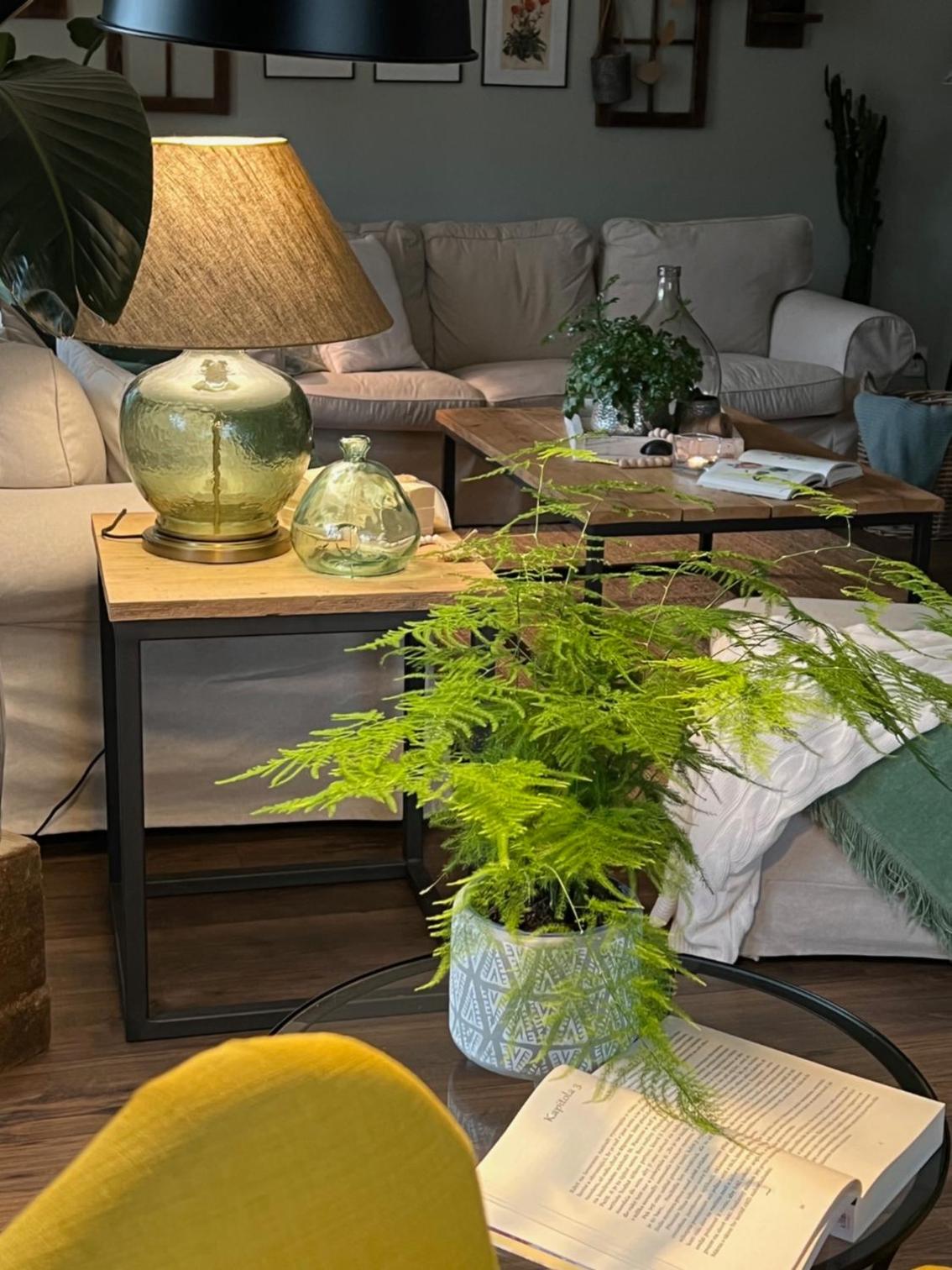 OrchardHouse Farmhouse, wellness view 4