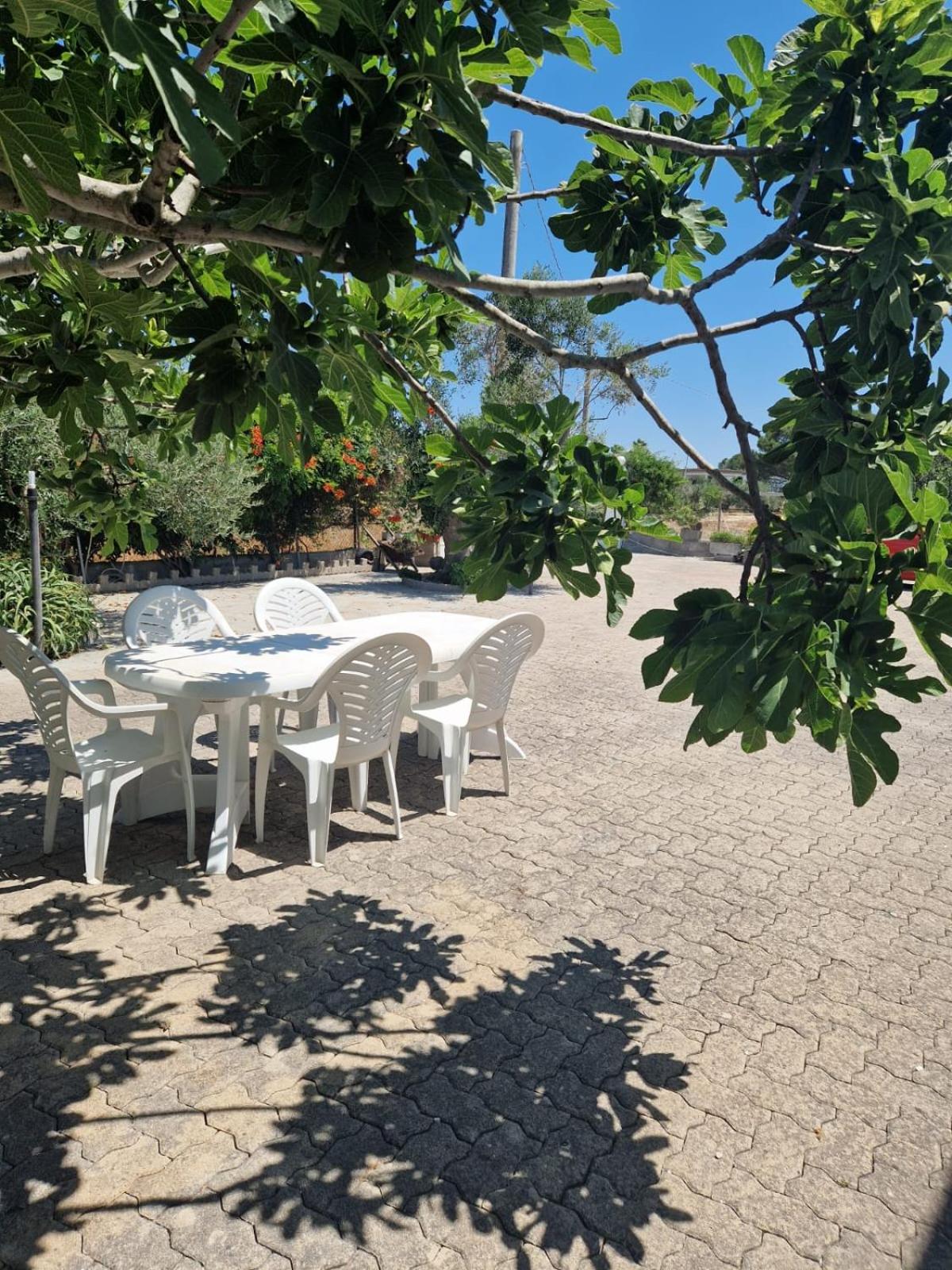 Casa cucci