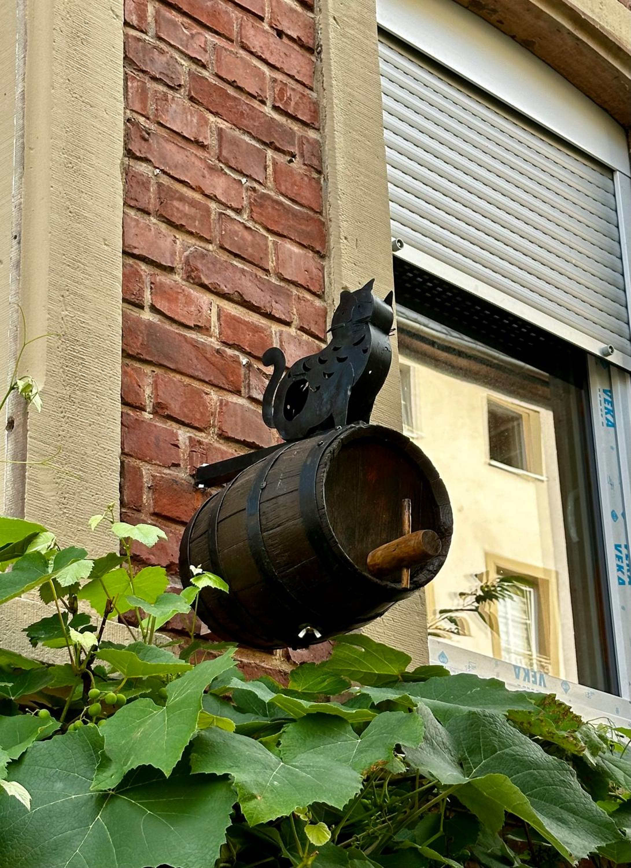 Ferienhaus Zur Gasse