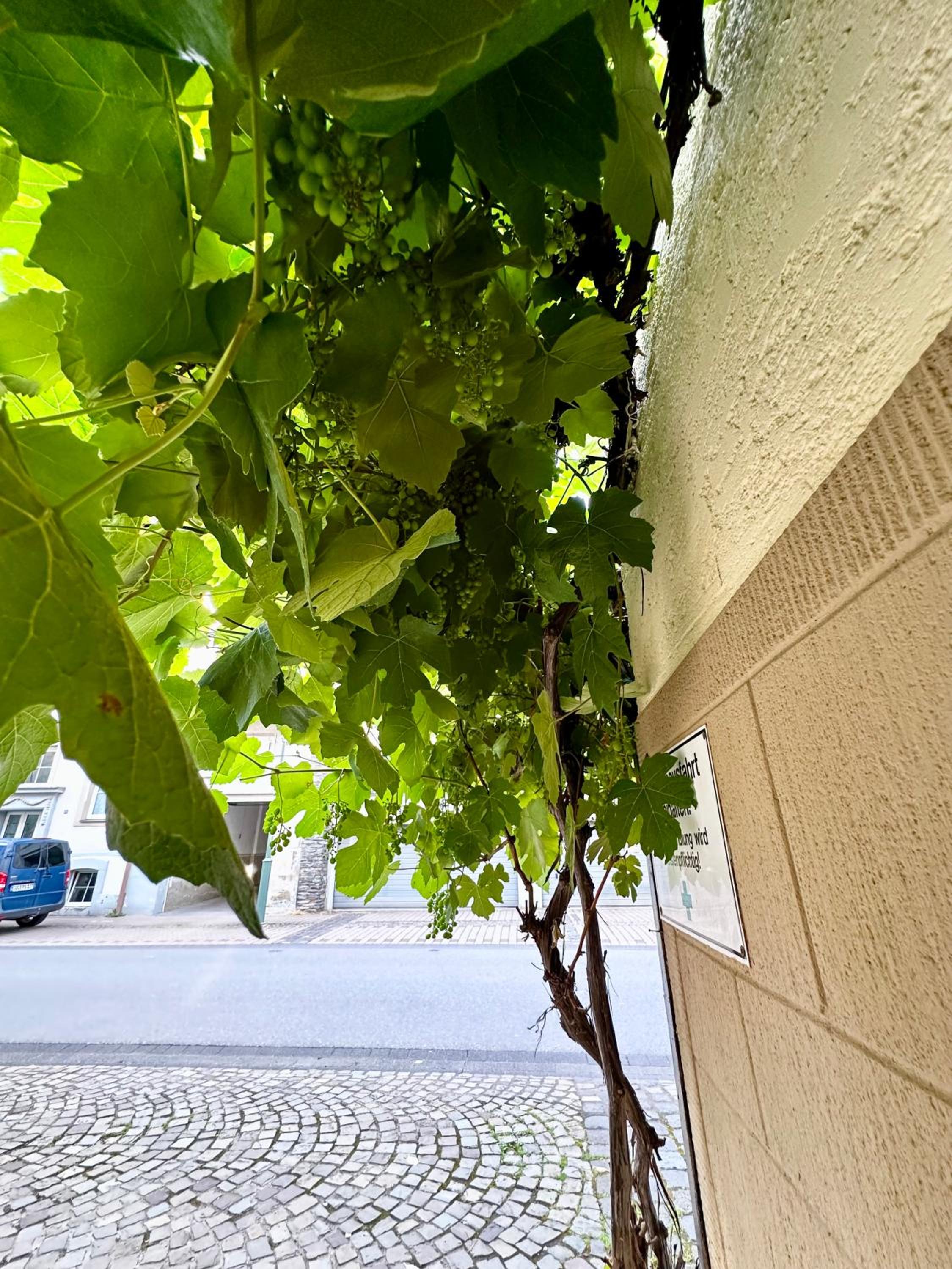 Ferienhaus Zur Gasse