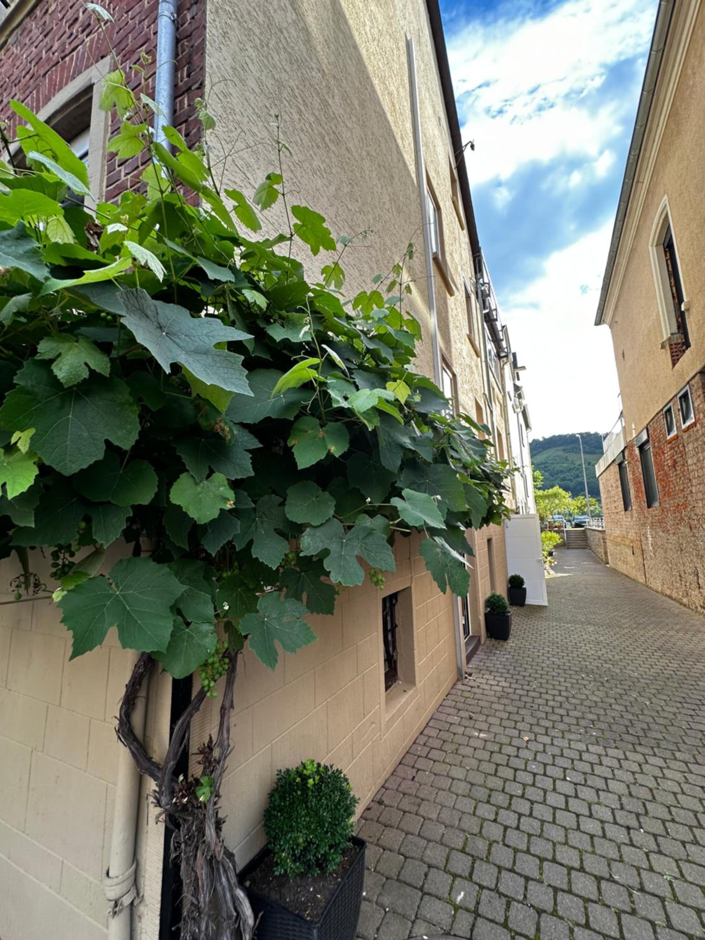 Ferienhaus Zur Gasse