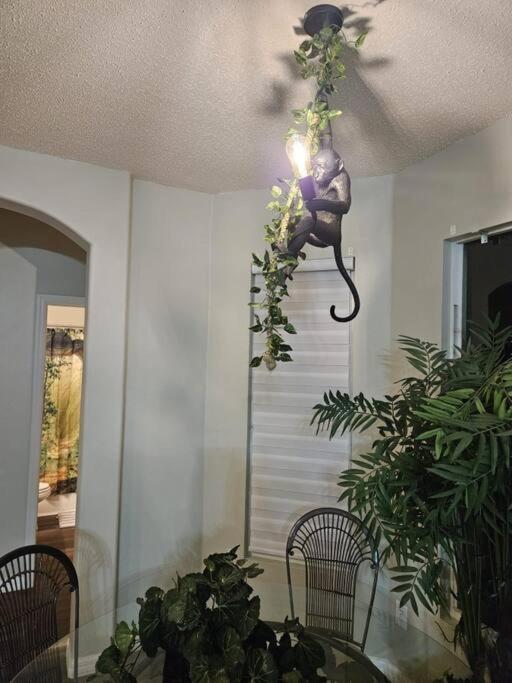 Maleficent's Disney's Jungle VR Retreat