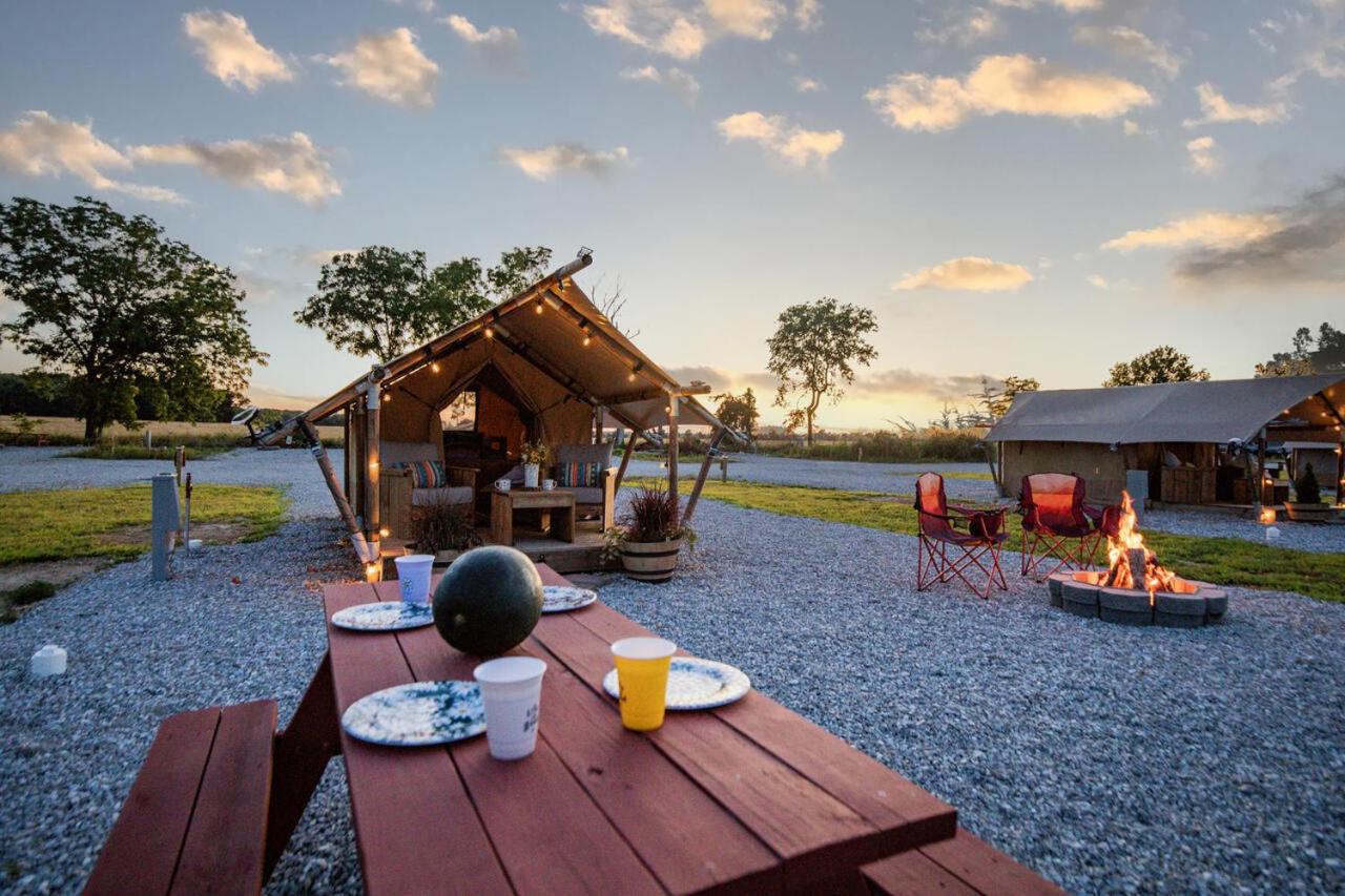 Roaring River Park's Scenic Outdoor Getaway view 4