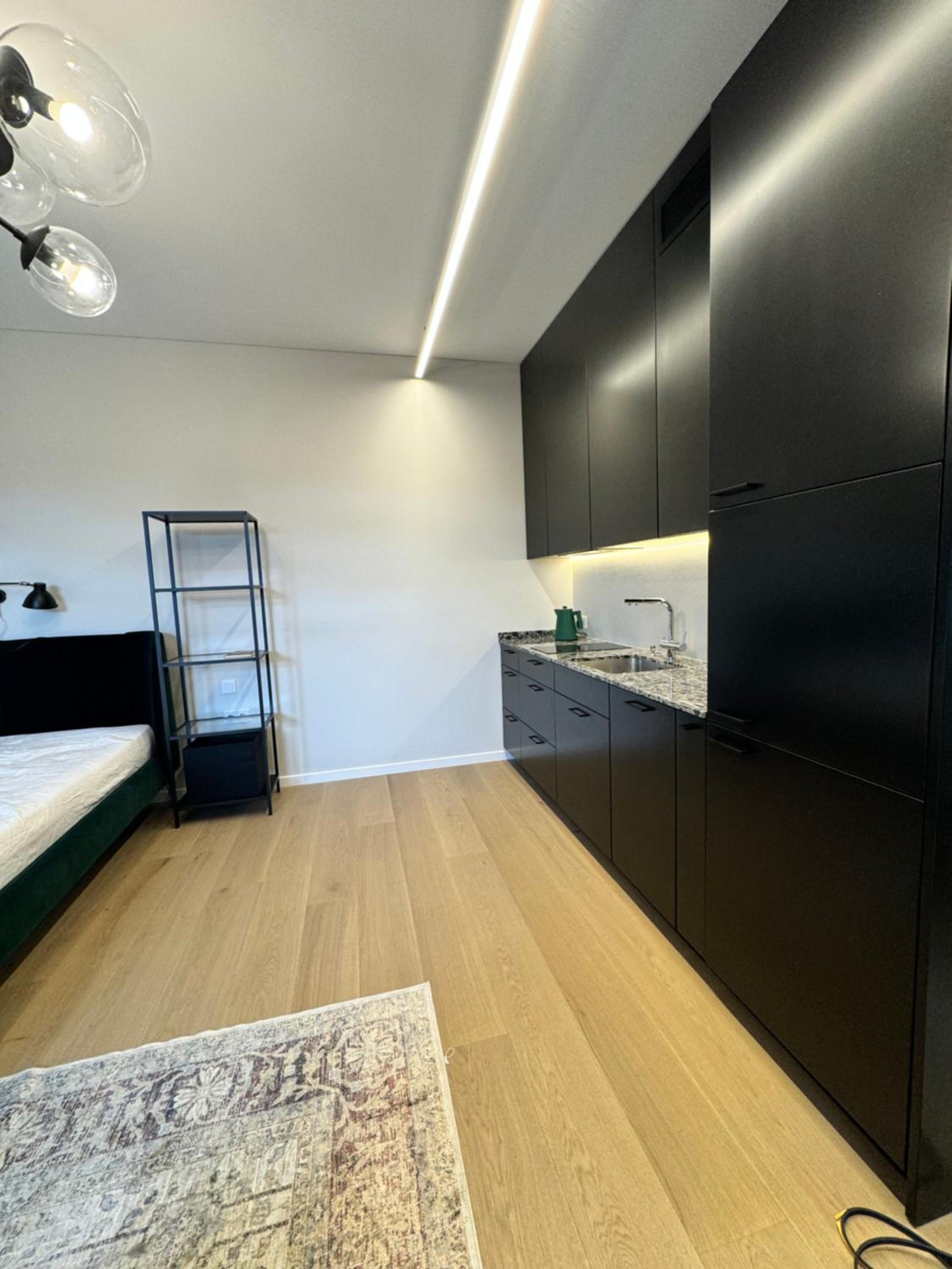 New studio flat in Vilnius