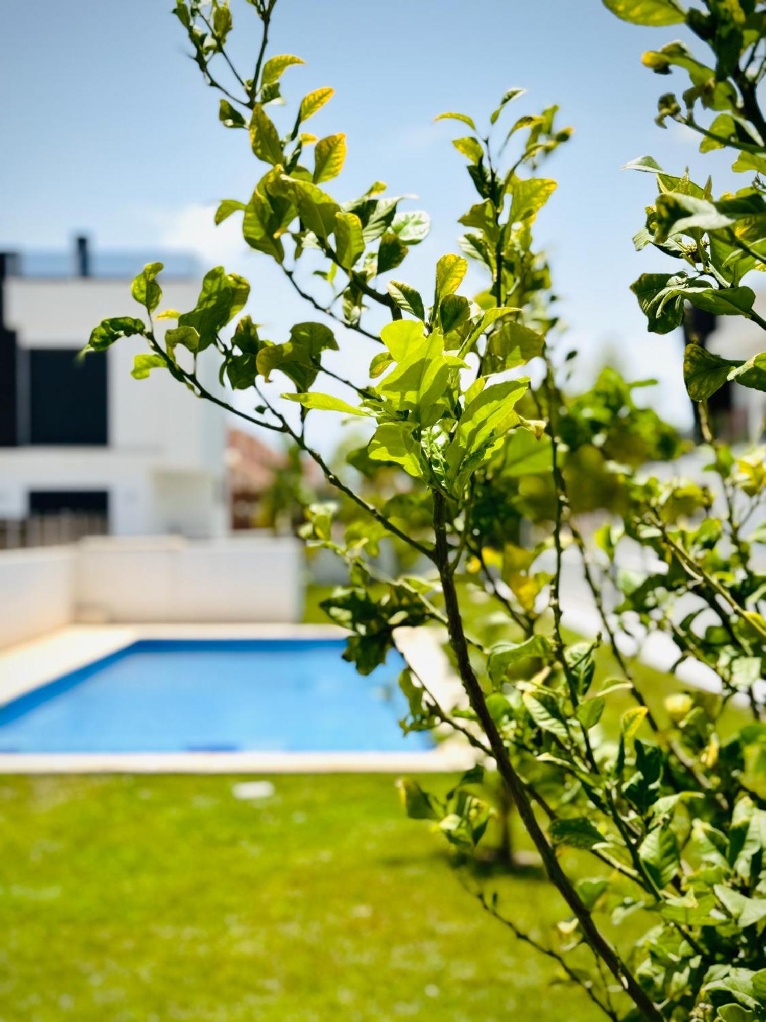 Casa Natura Oasis