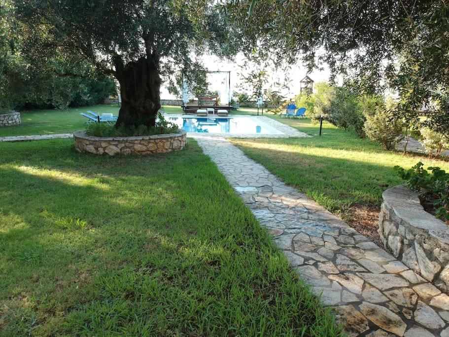Photo 33