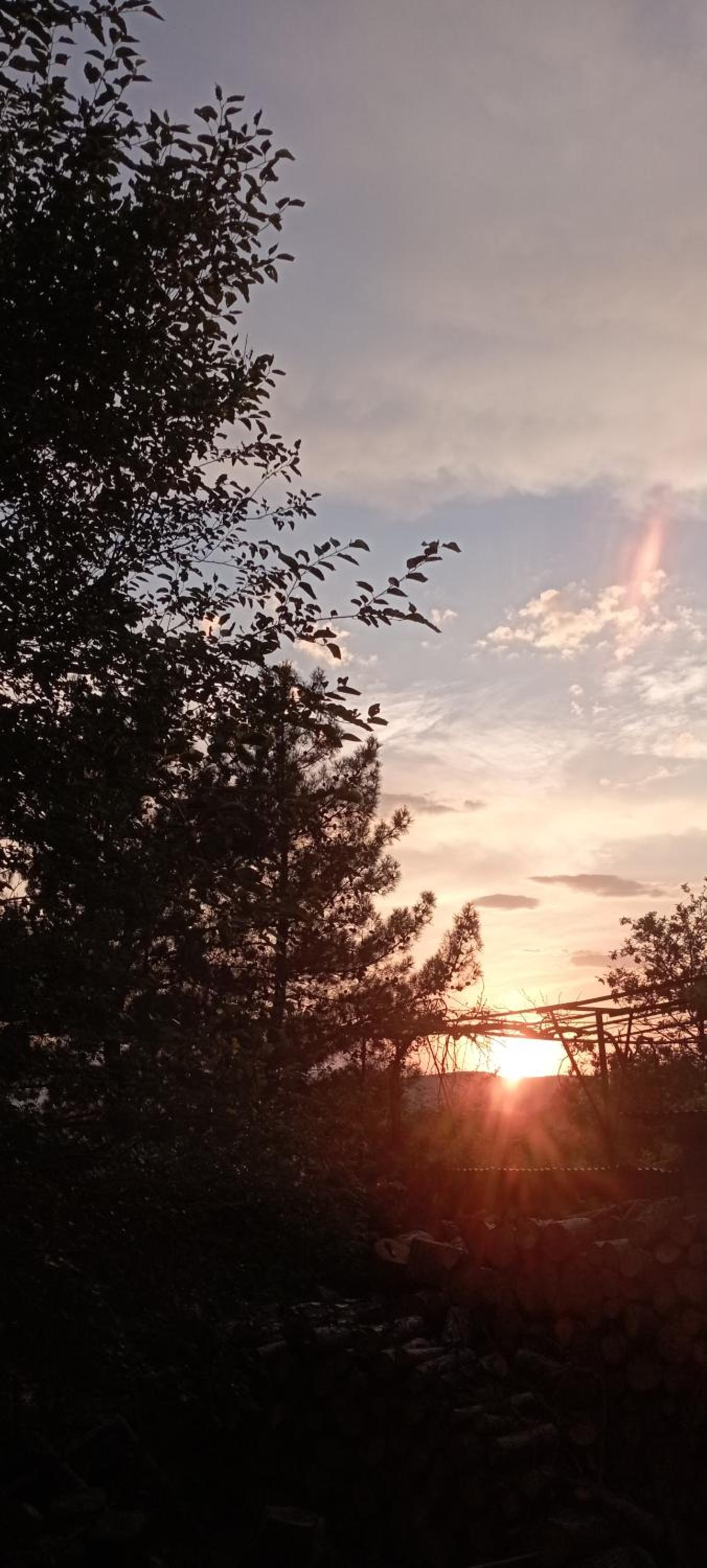 Gamila Sunrise