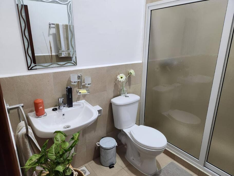 lovely apartment 304 on block D view 5