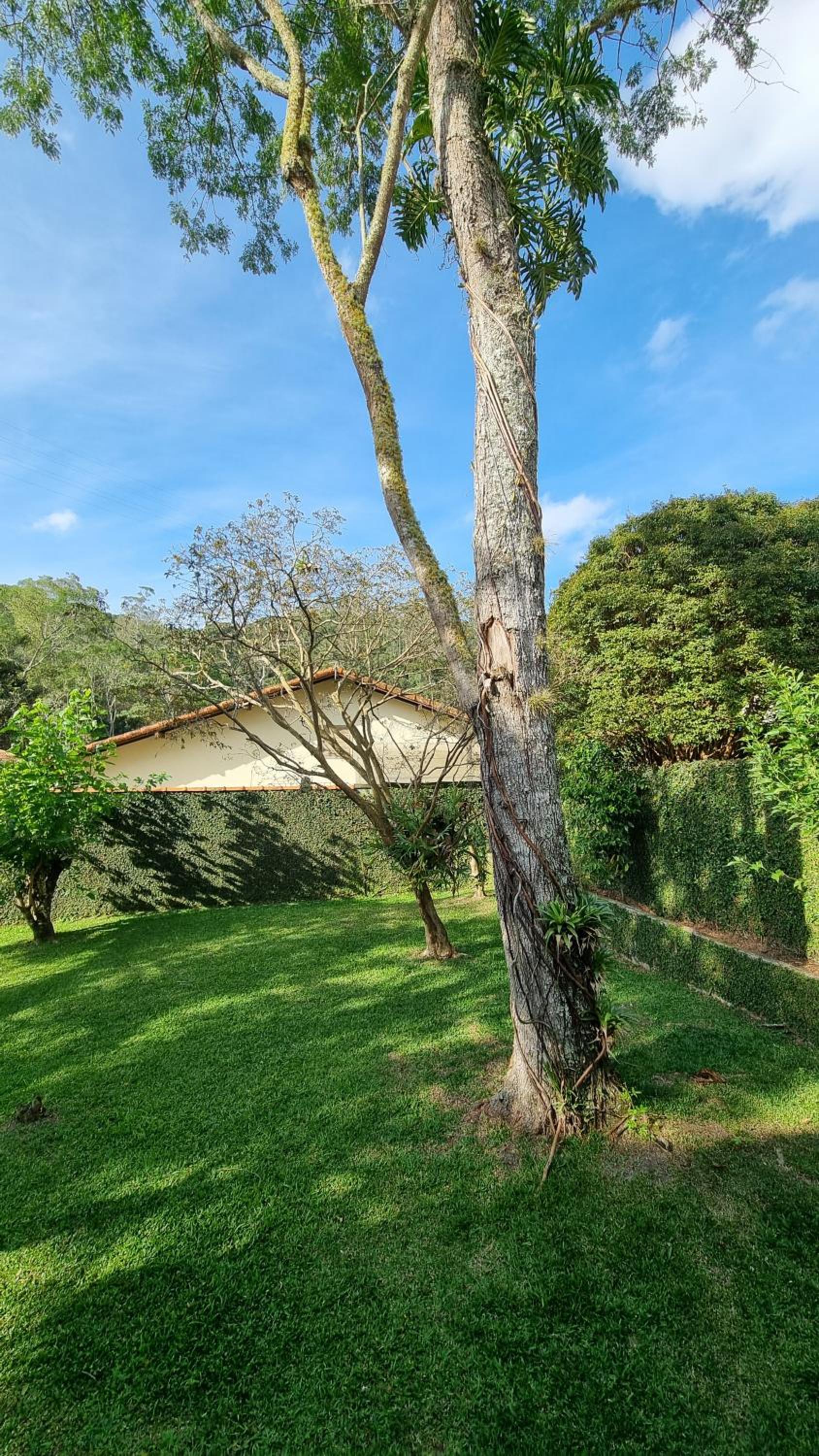 Casinha na serra
