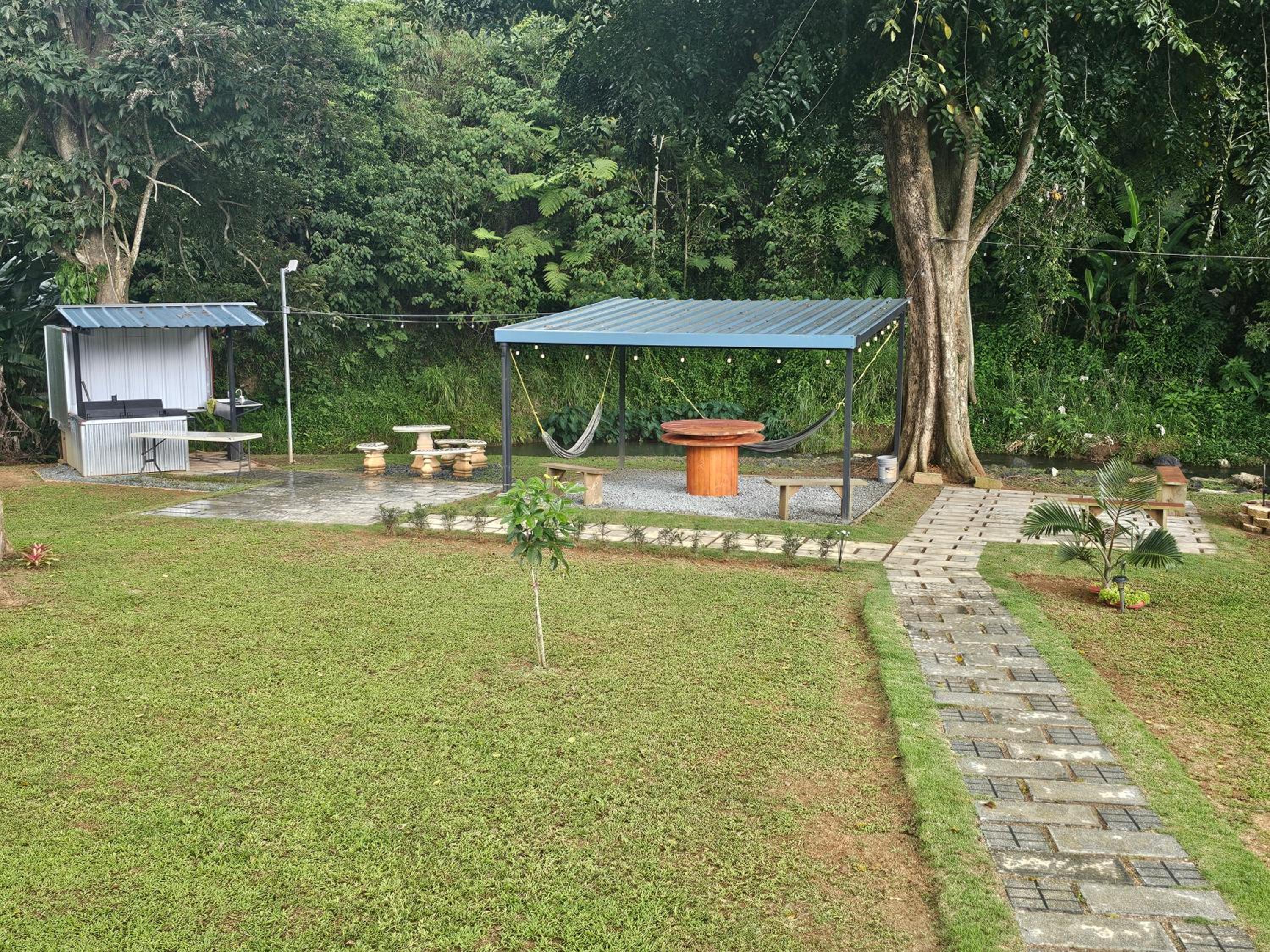Photo 7