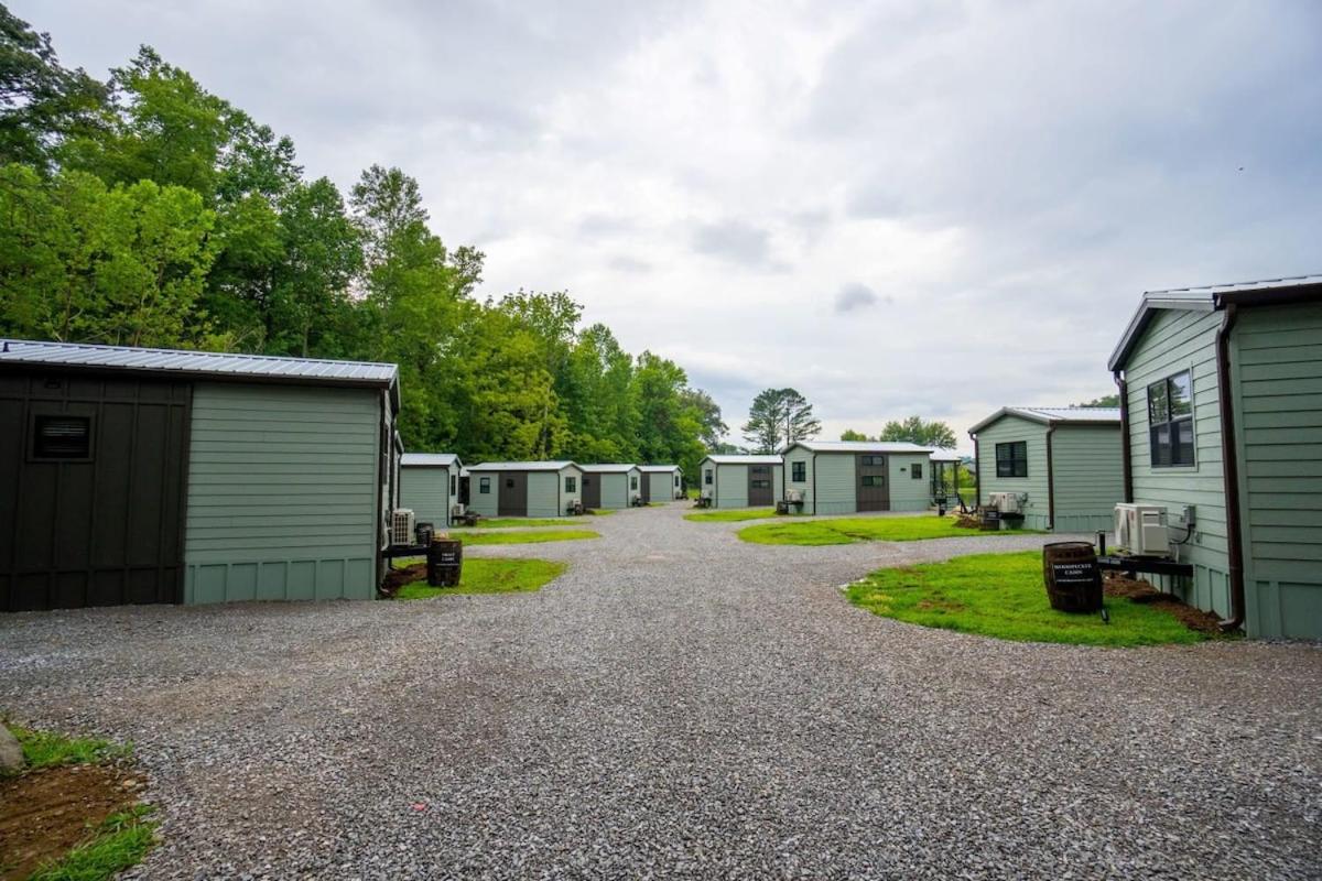 Water View Cabin - Fishing Lake - Groundhog Cabin view 5