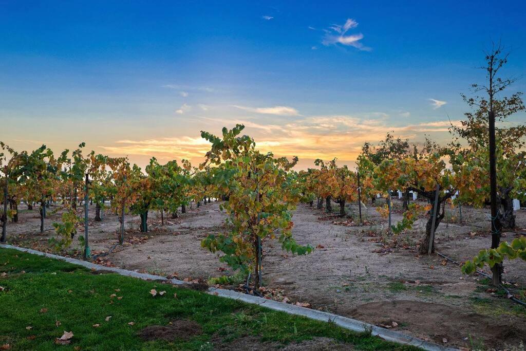 Temecula Vacations - Grenache Estate - Nestled in Temecula Wine Country - Property Image 34