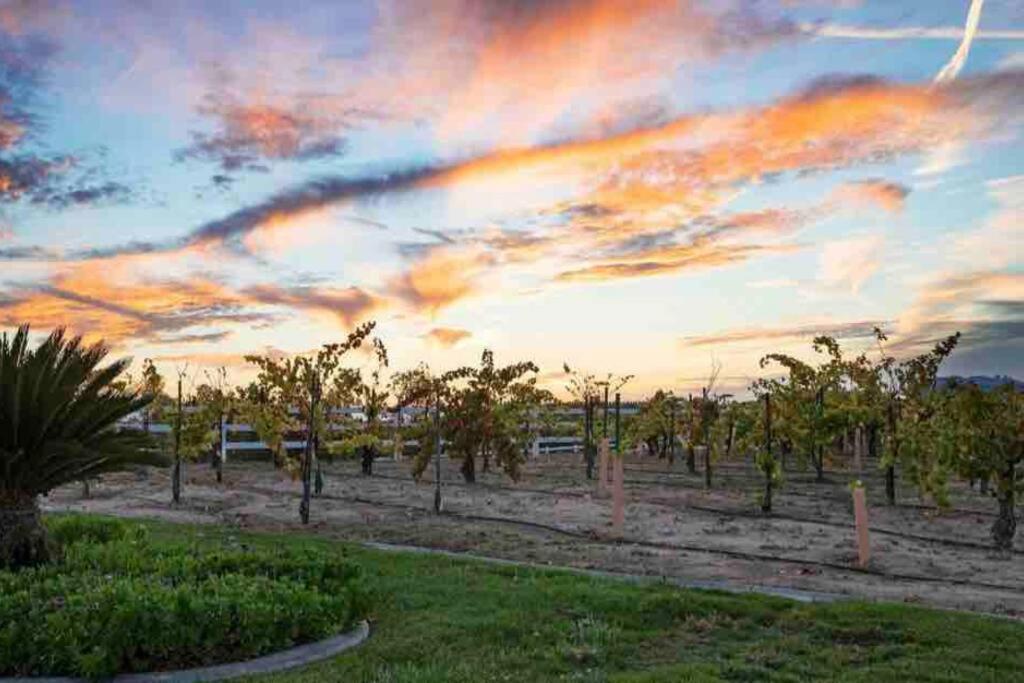 Temecula Vacations - Grenache Estate - Nestled in Temecula Wine Country - Property Image 60