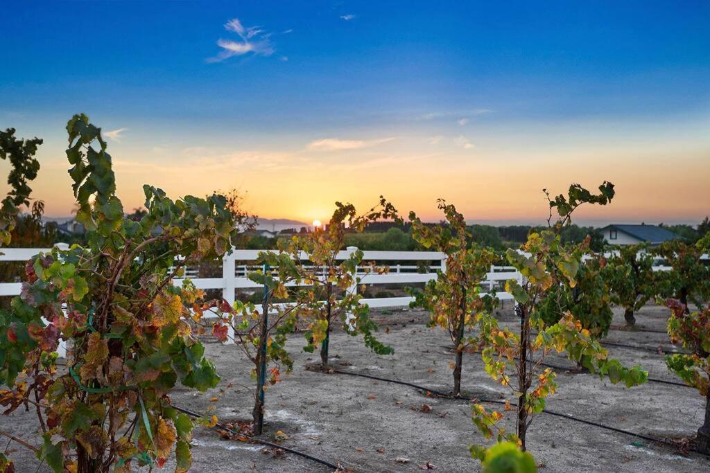 Temecula Vacations - Grenache Estate - Nestled in Temecula Wine Country - Property Image 110
