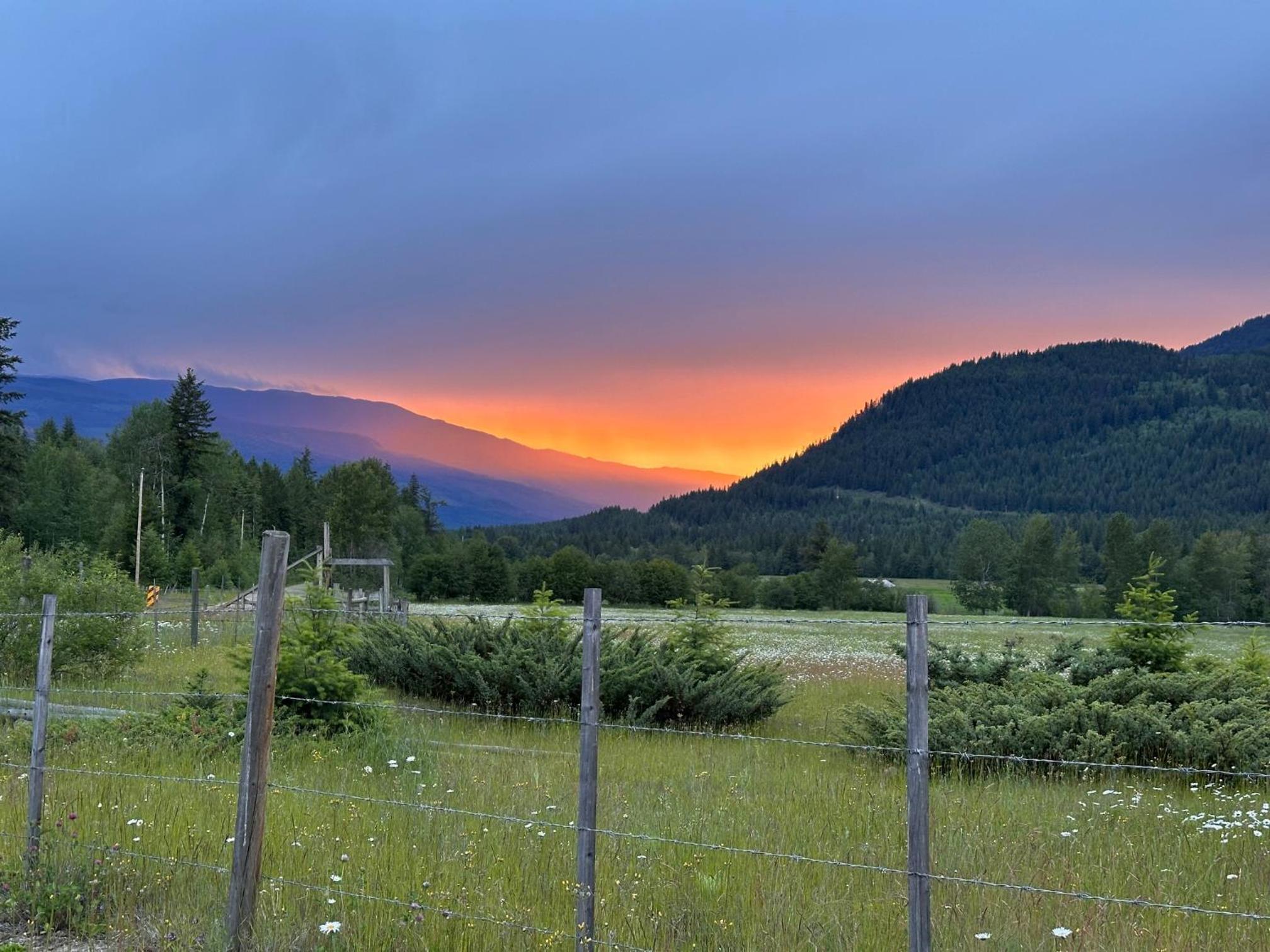 Bluestone Acres Farm