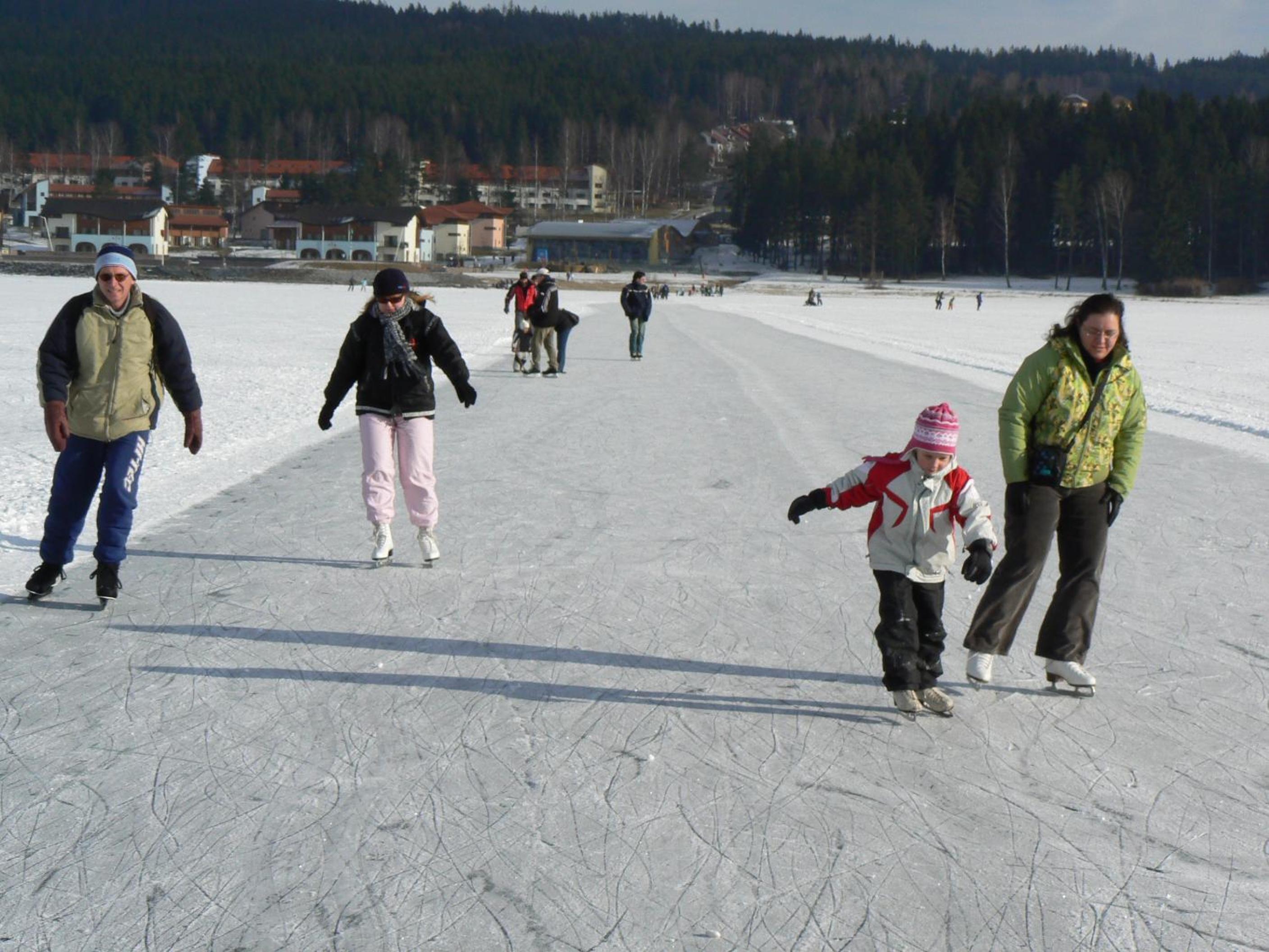 Myši V Botě Lipno view 3