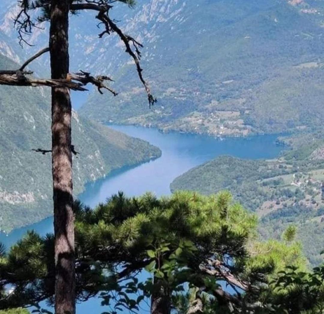 Planinske kuće Anika Tara minimum 2 noćenja view 5