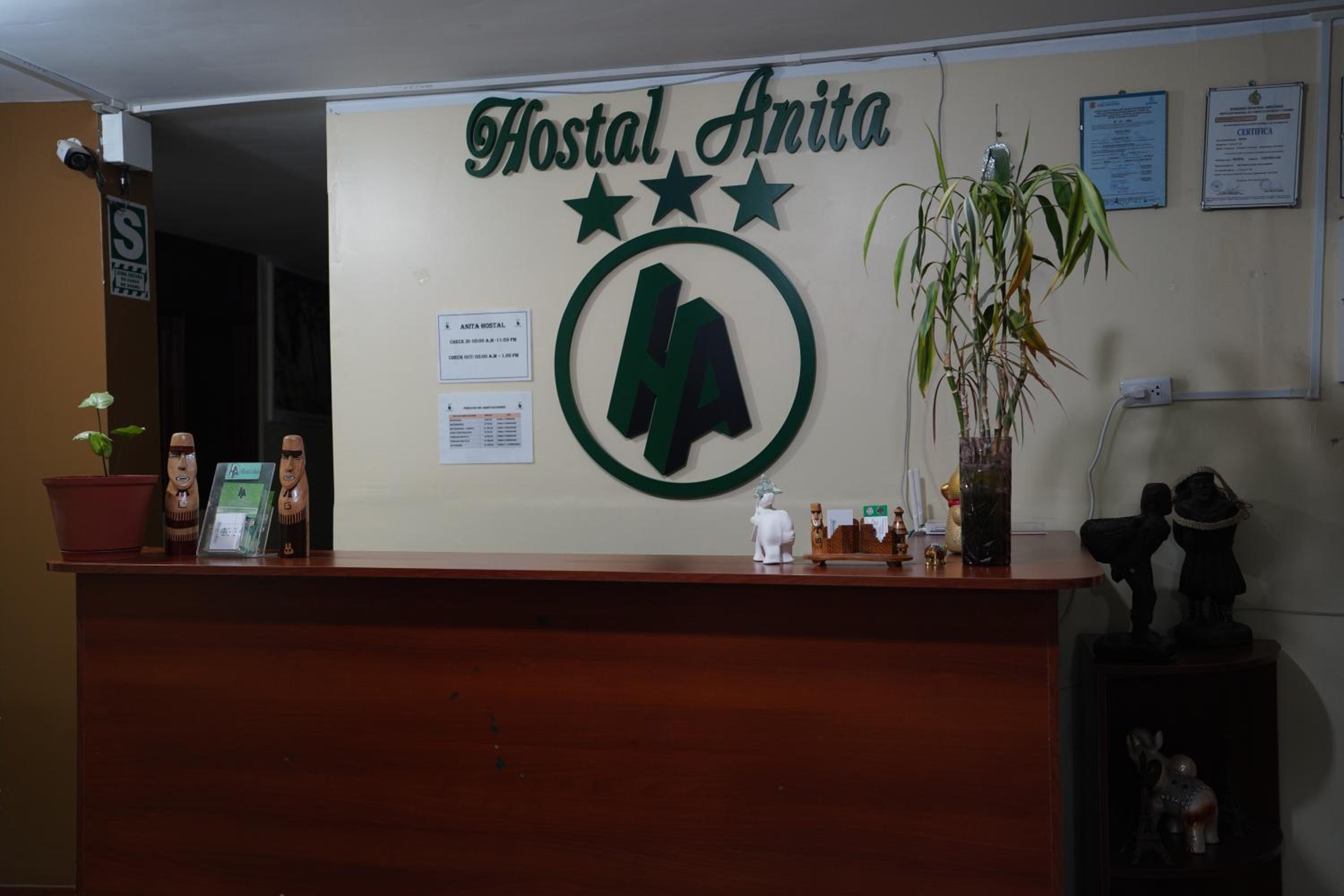 Anita Hostal view 3
