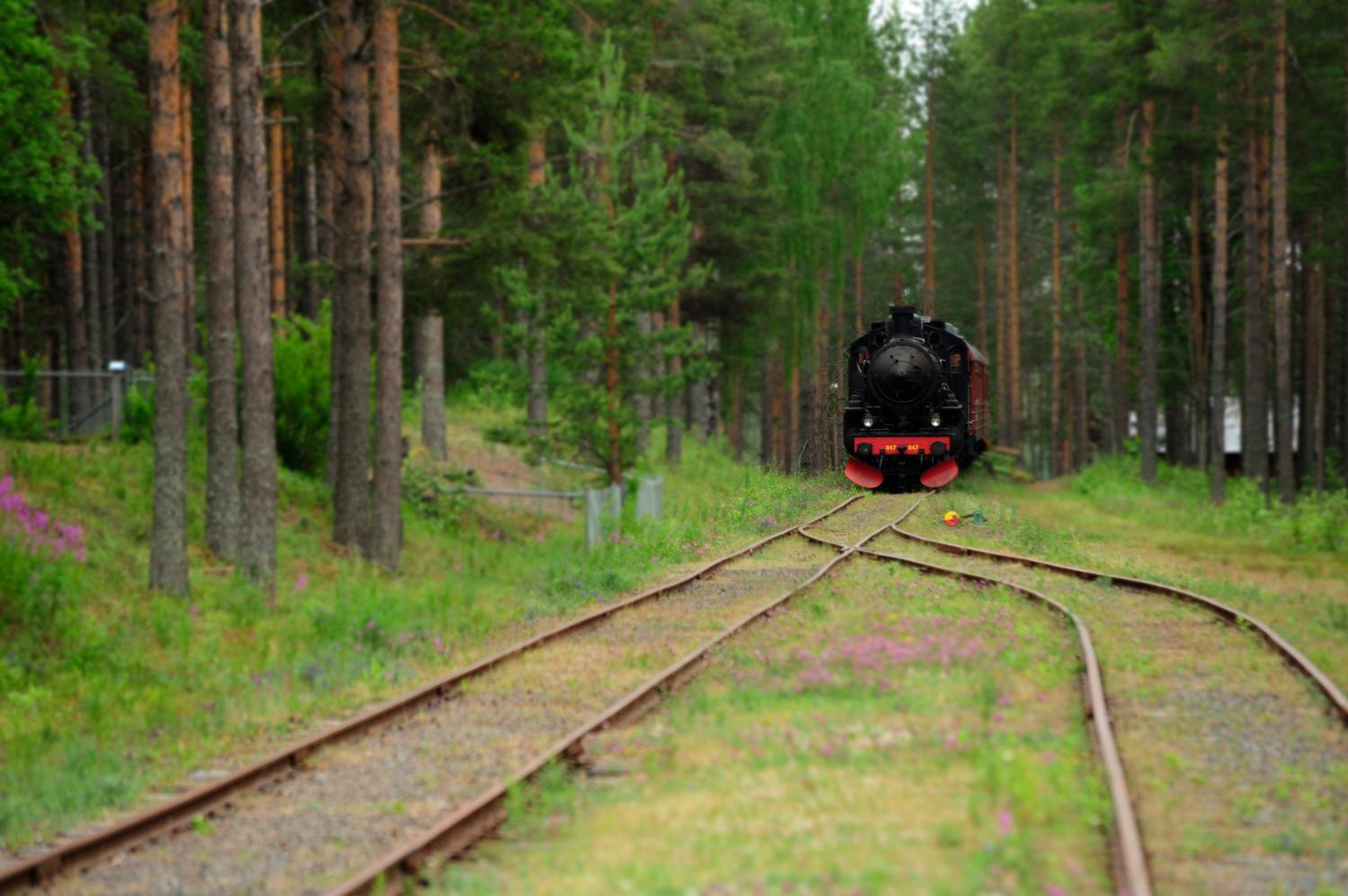 First Camp Arcus-Luleå