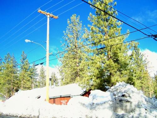 Golden Bear Cottages