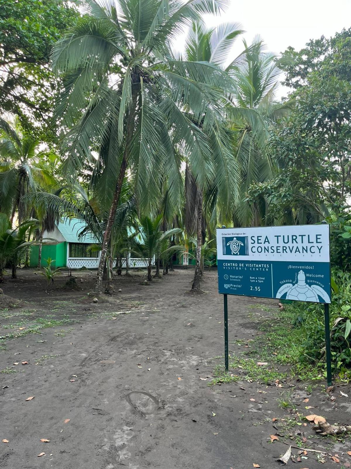 The Secret Eco Lodge
