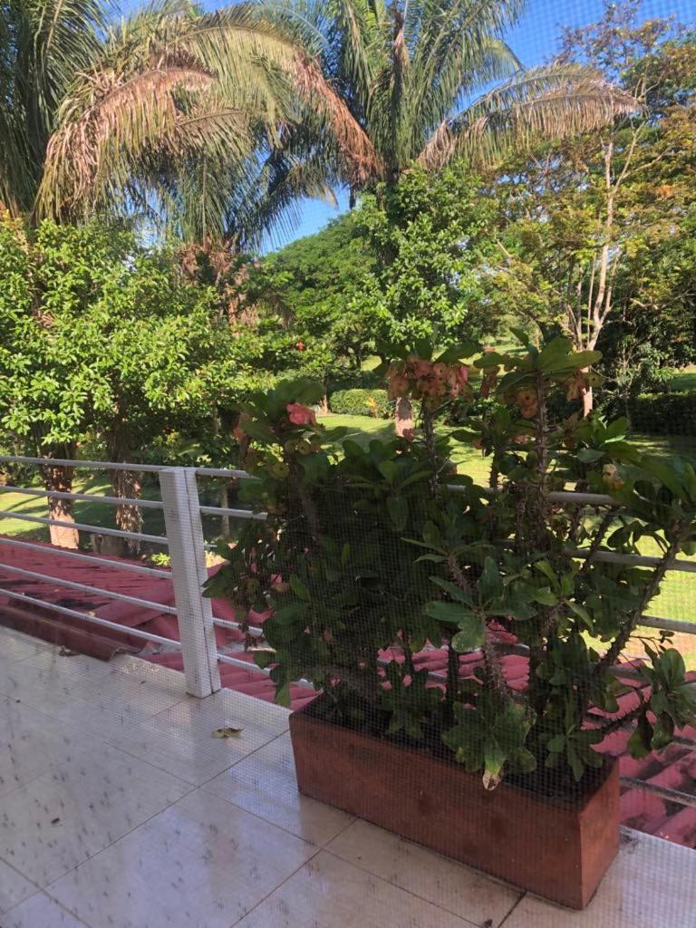 Cabaña Campestre las camelias
