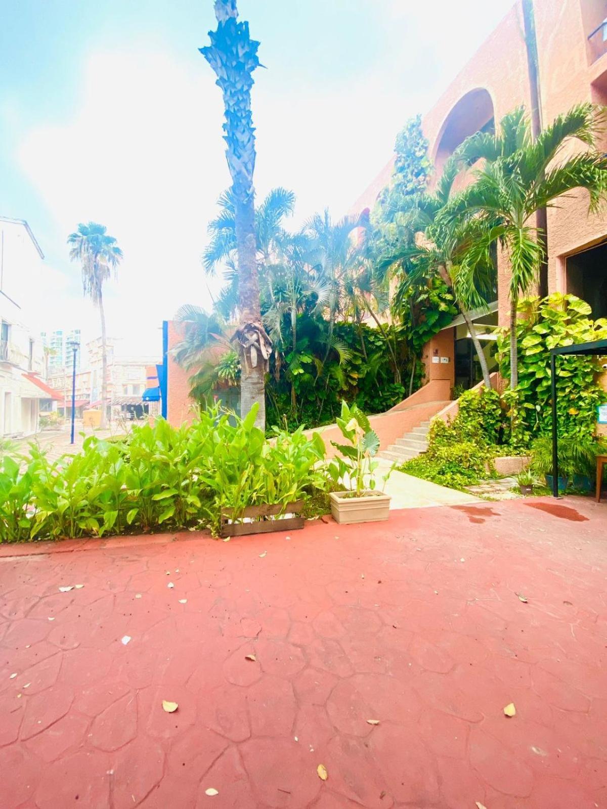 La casa de Noah